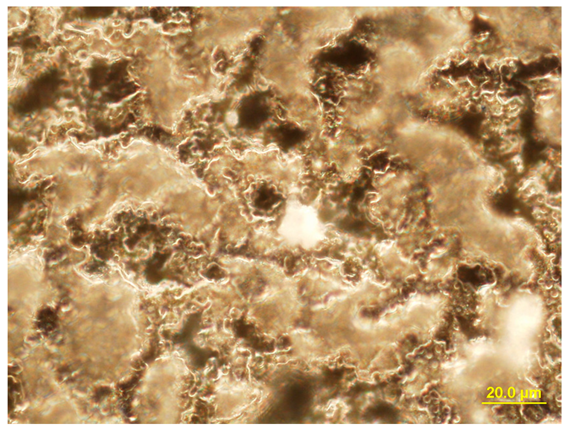 Materials 11 00360 g005