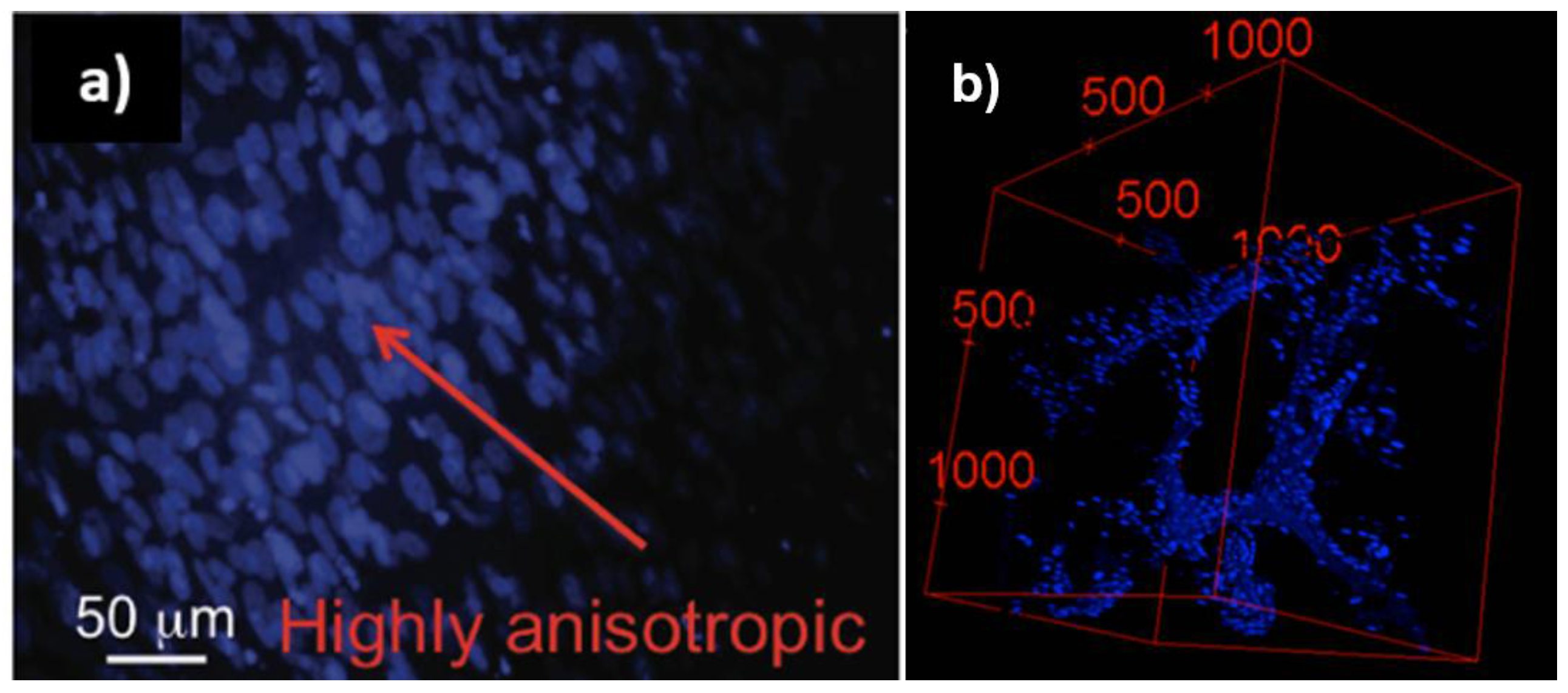Materials 11 00377 g007 Materials 11 00377 g007