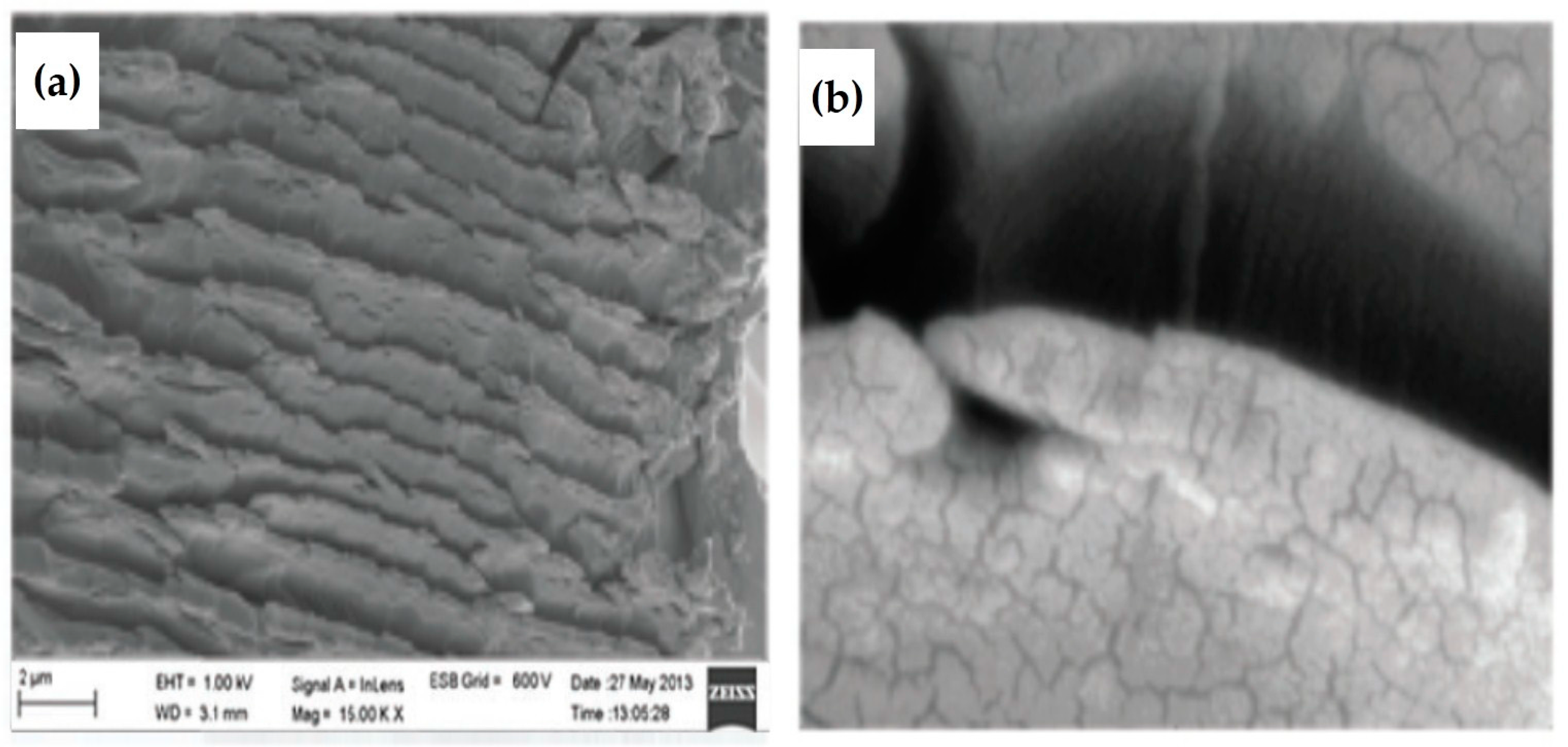 Materials 11 00382 g007 Materials 11 00382 g007