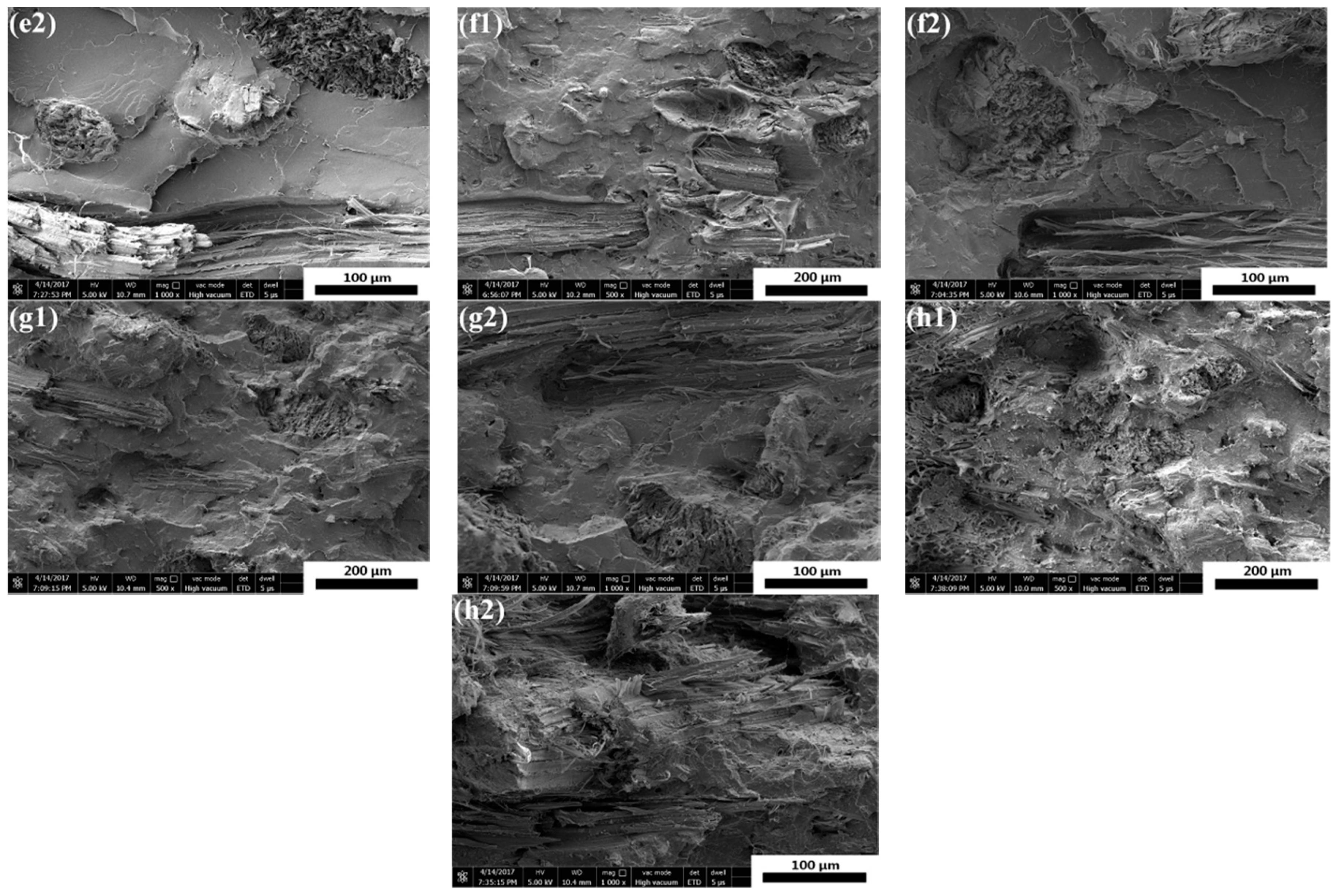 Materials 11 00398 g002b