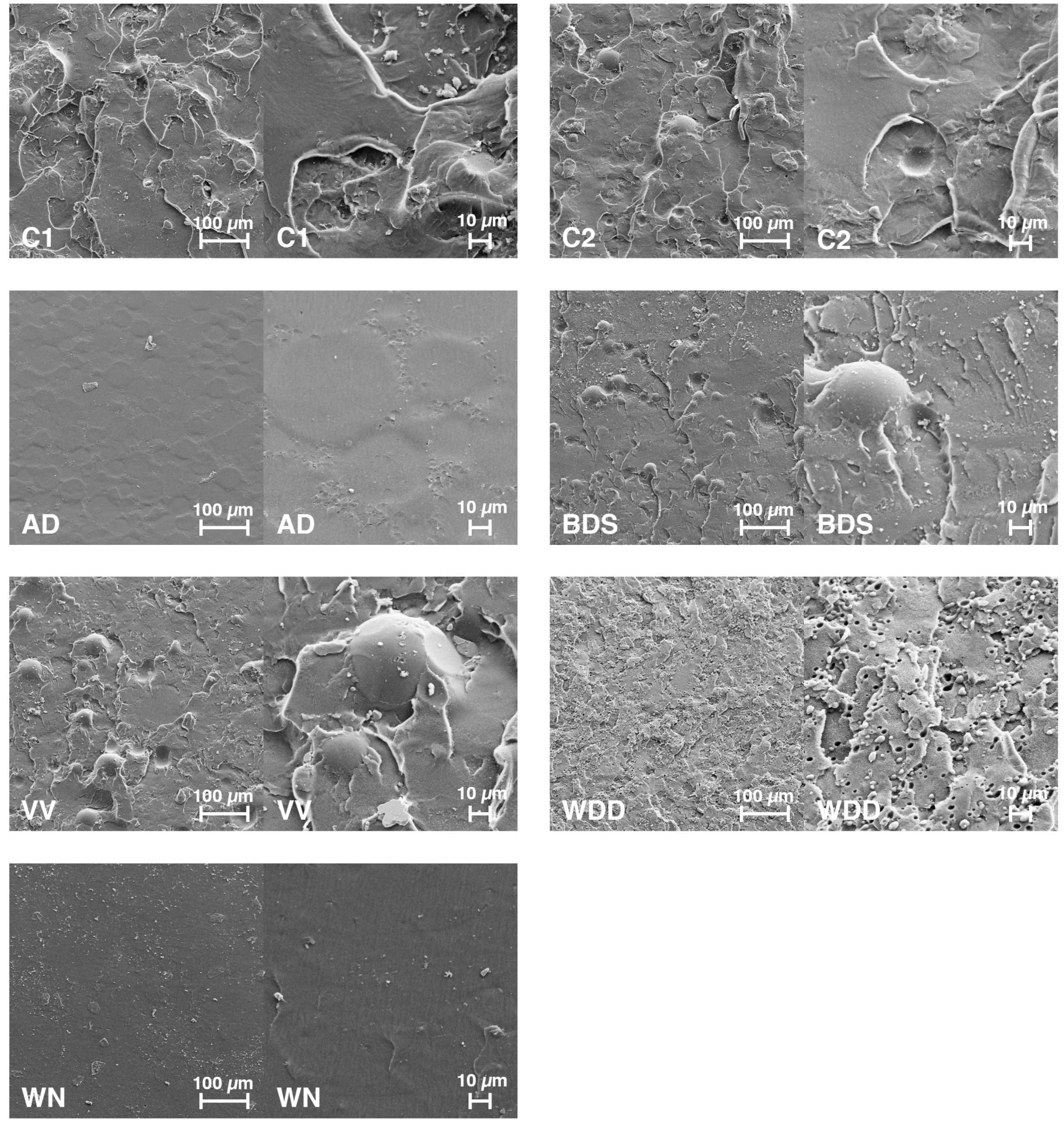 Materials 11 00401 g006 550