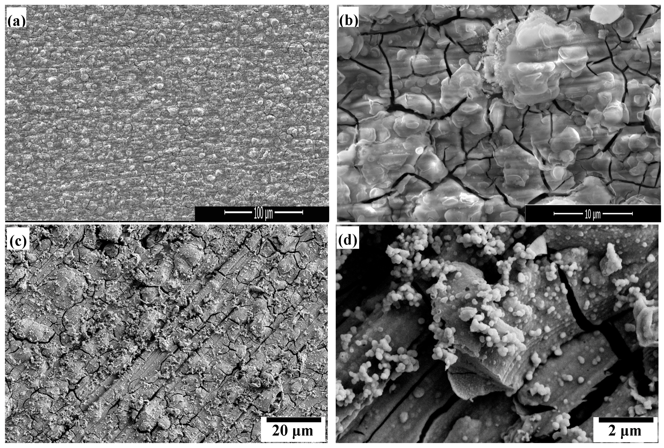 Materials Free Full Text The Formation Mechanism And Corrosion Resistance Of A Composite Phosphate Conversion Film On Am60 Alloy Html