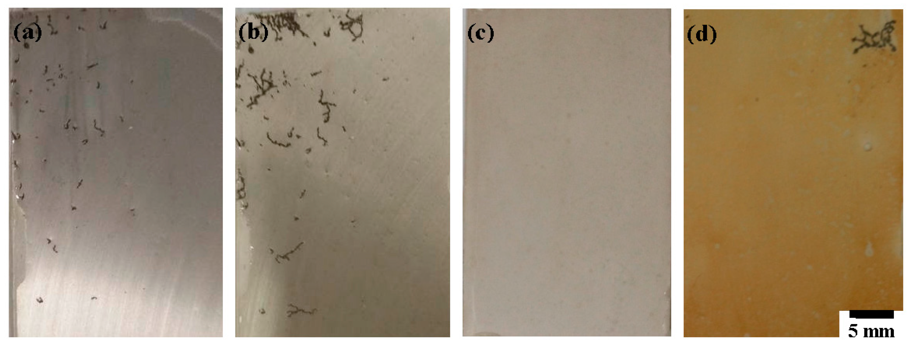 Materials 11 00402 g007 550