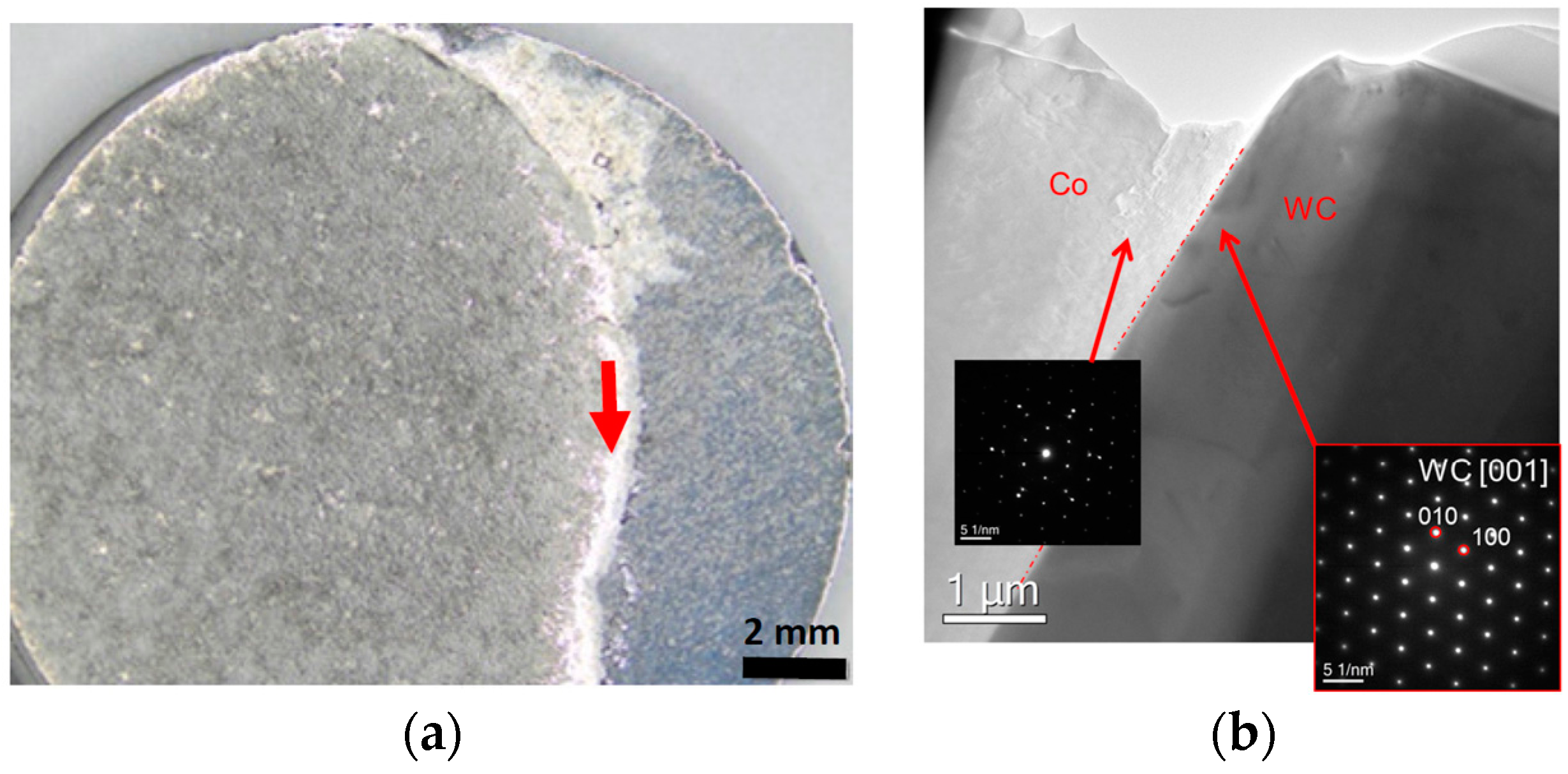 Materials 11 00404 g003 550