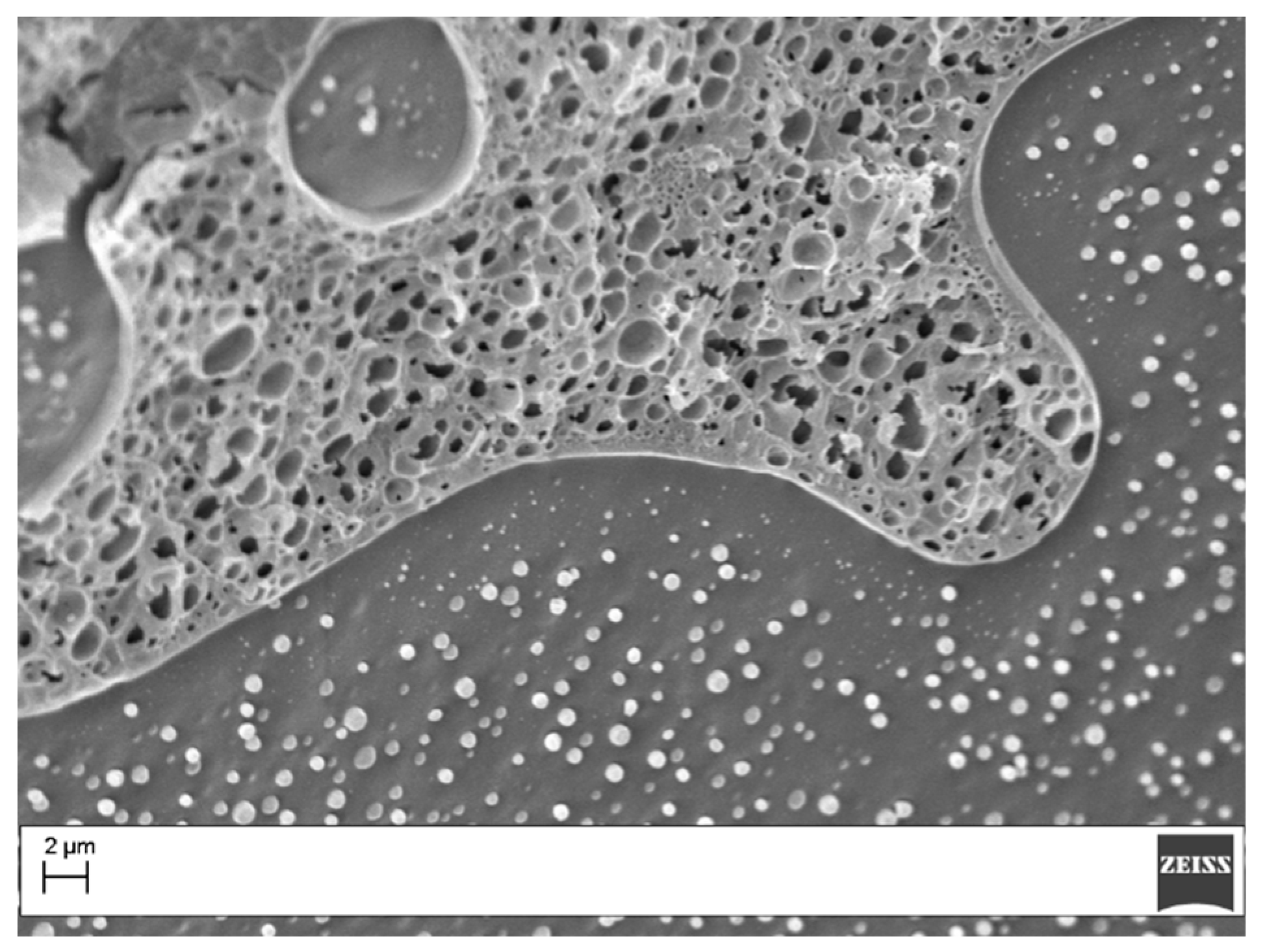 Materials 11 00405 g007 Materials 11 00405 g007