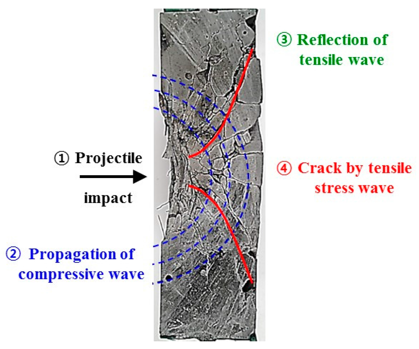 Materials 11 00409 g001 Materials 11 00409 g001