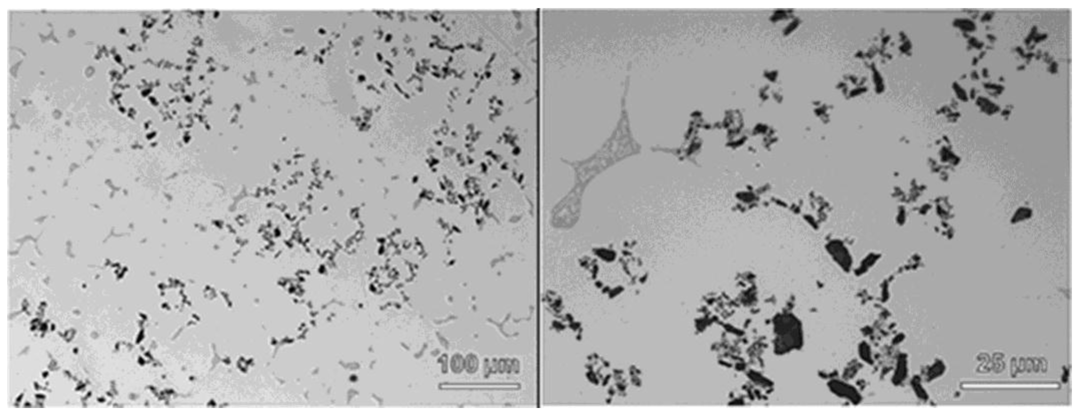 Materials 11 00413 g001