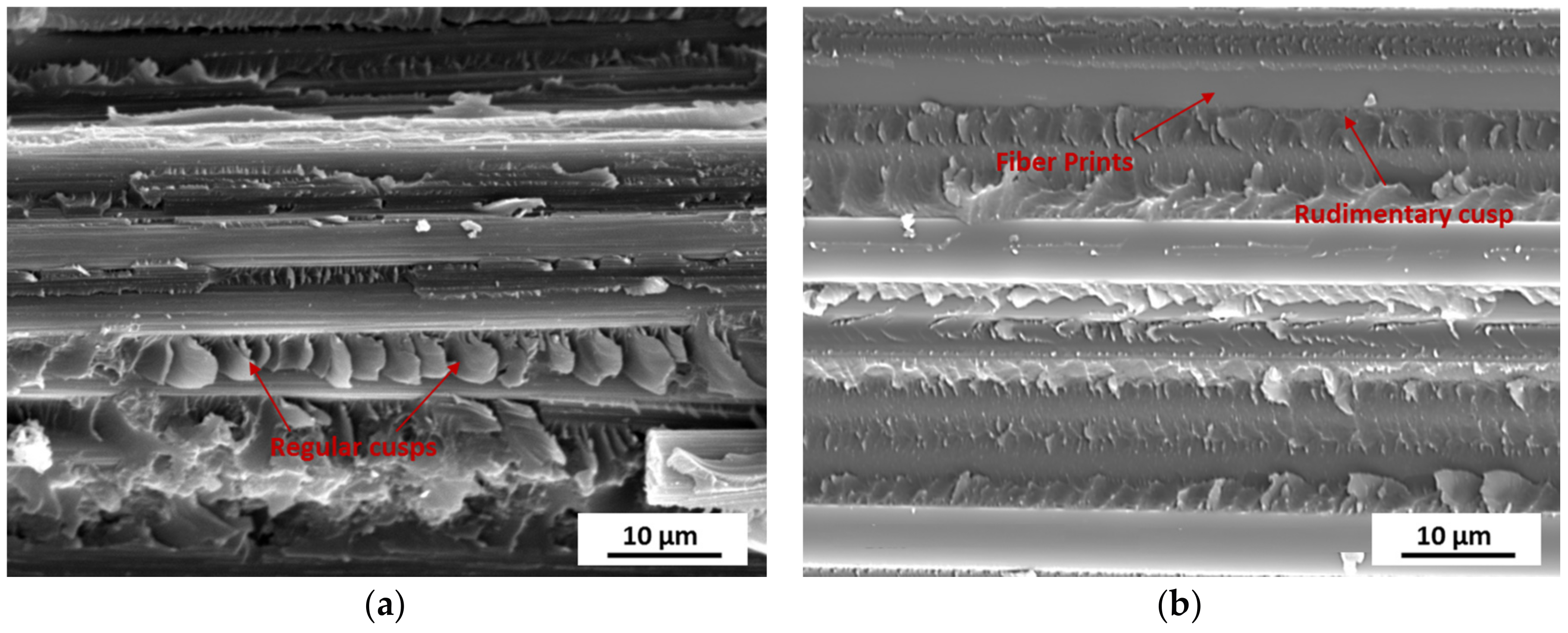 Materials 11 00421 g011 550