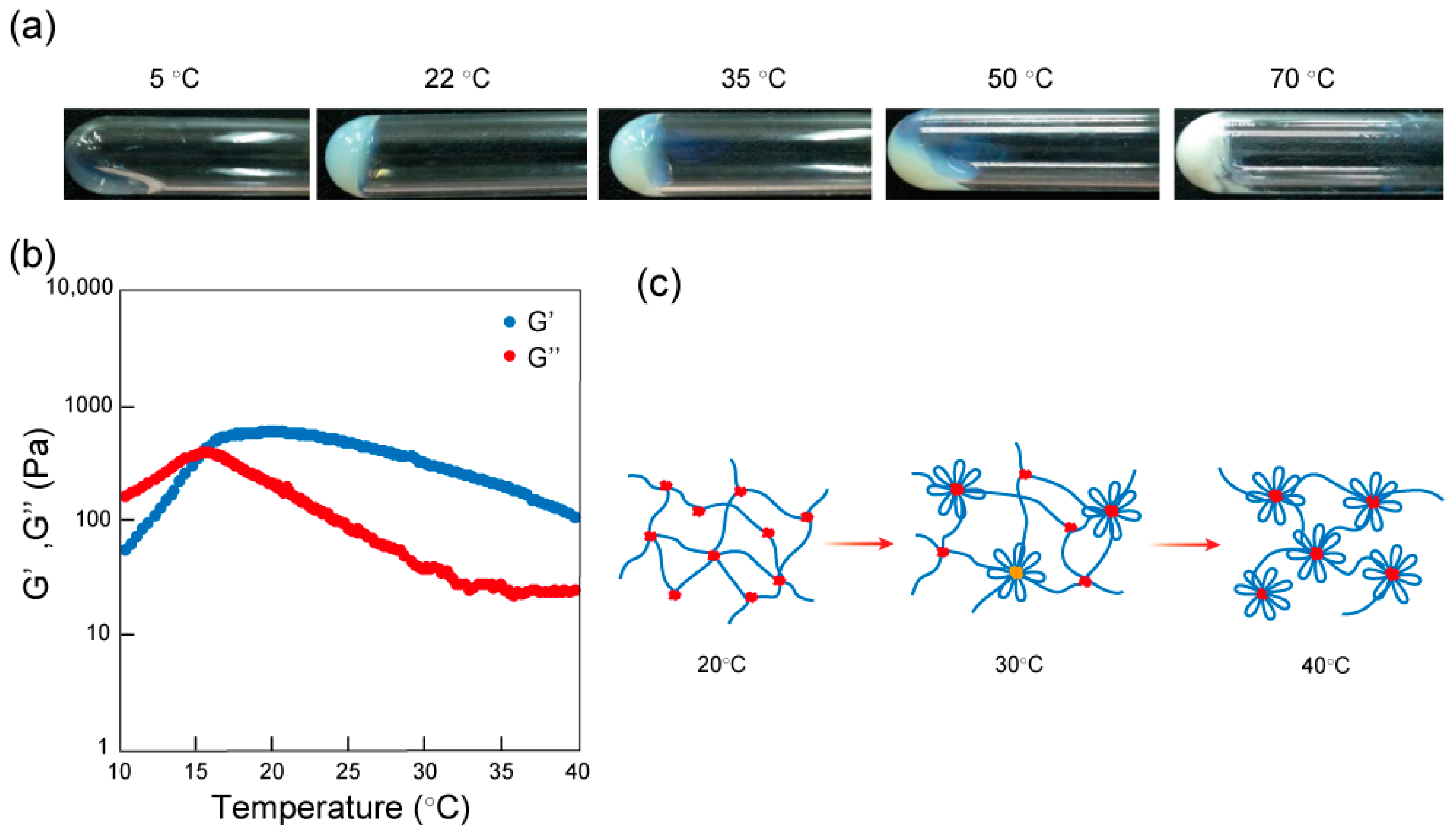Materials 11 00424 g004 550