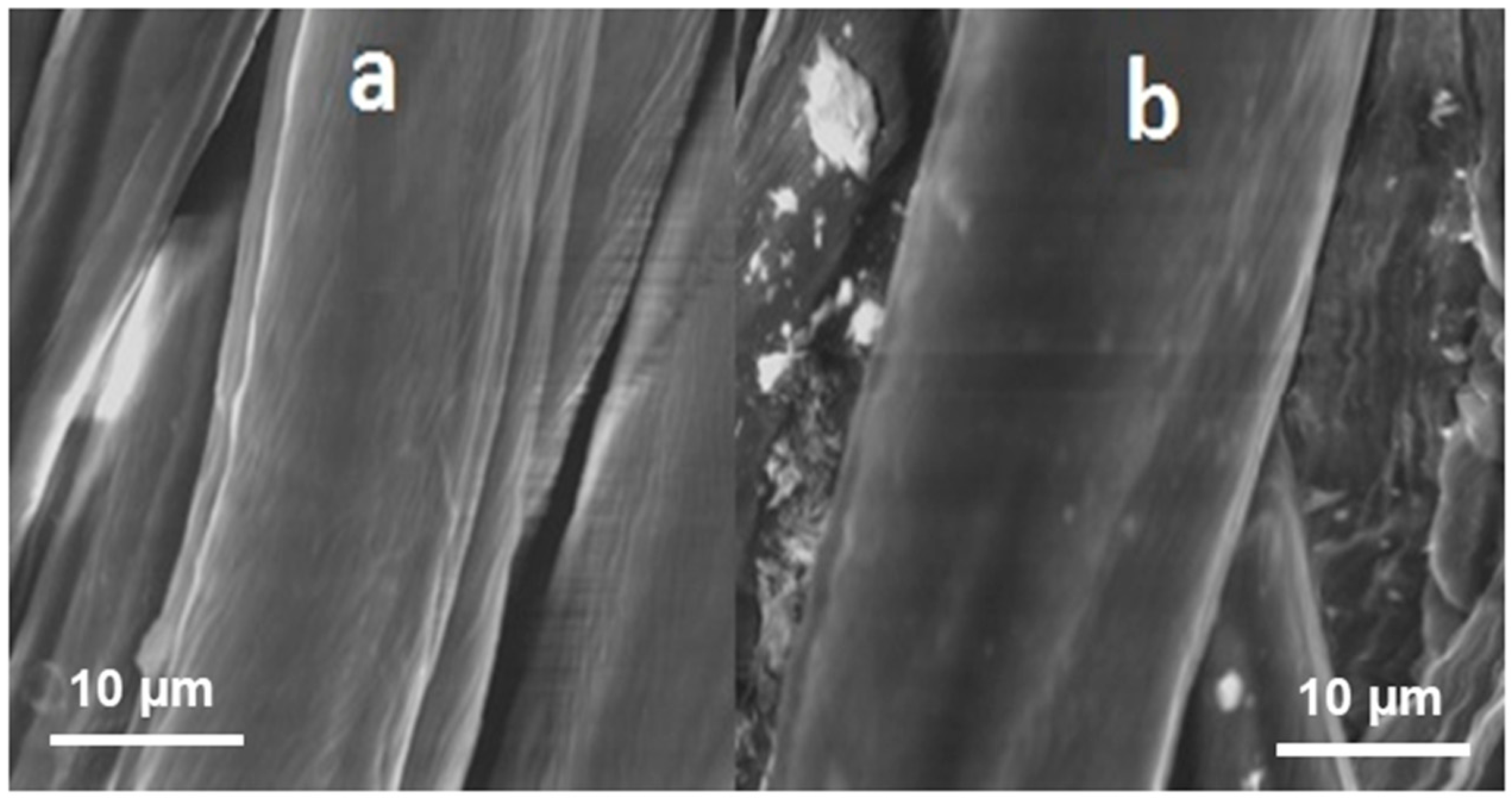 Materials 11 00426 g010 550