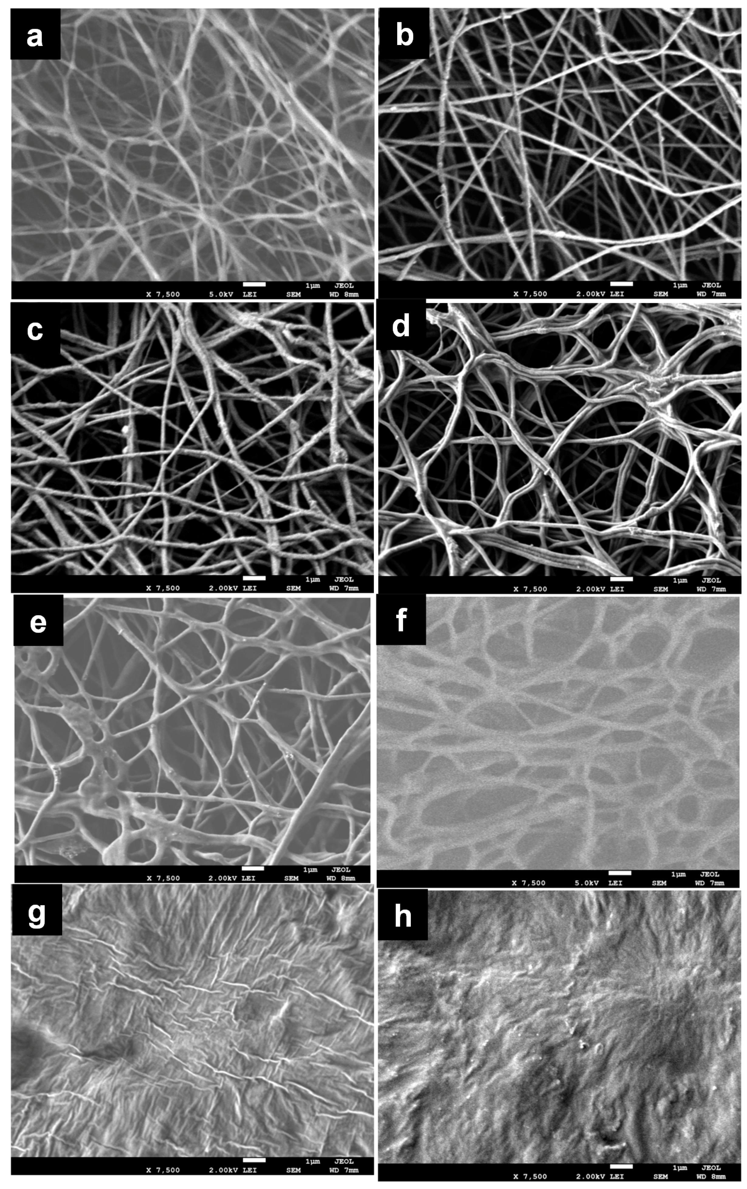 Materials 11 00451 g003