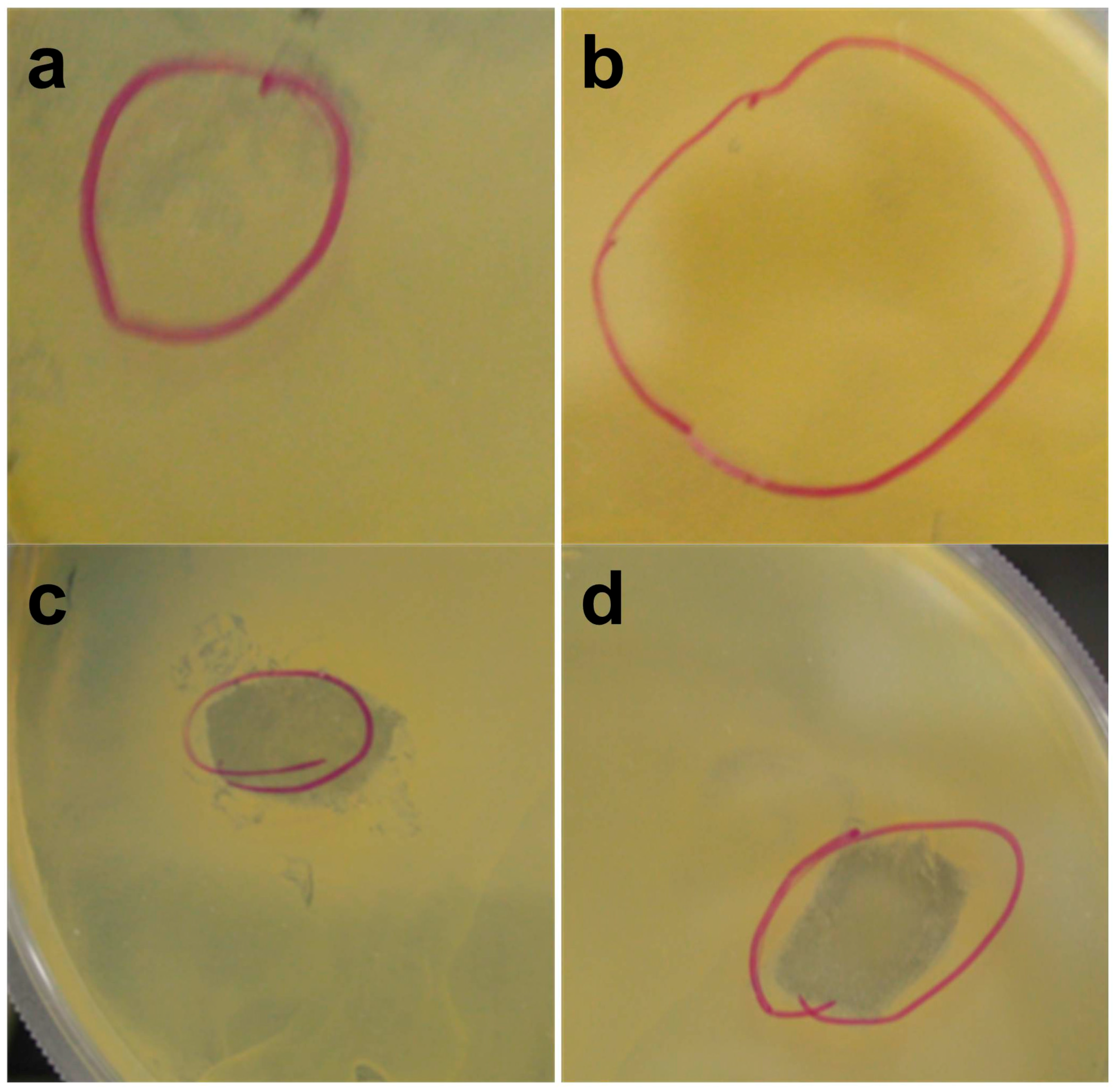 Materials 11 00451 g007