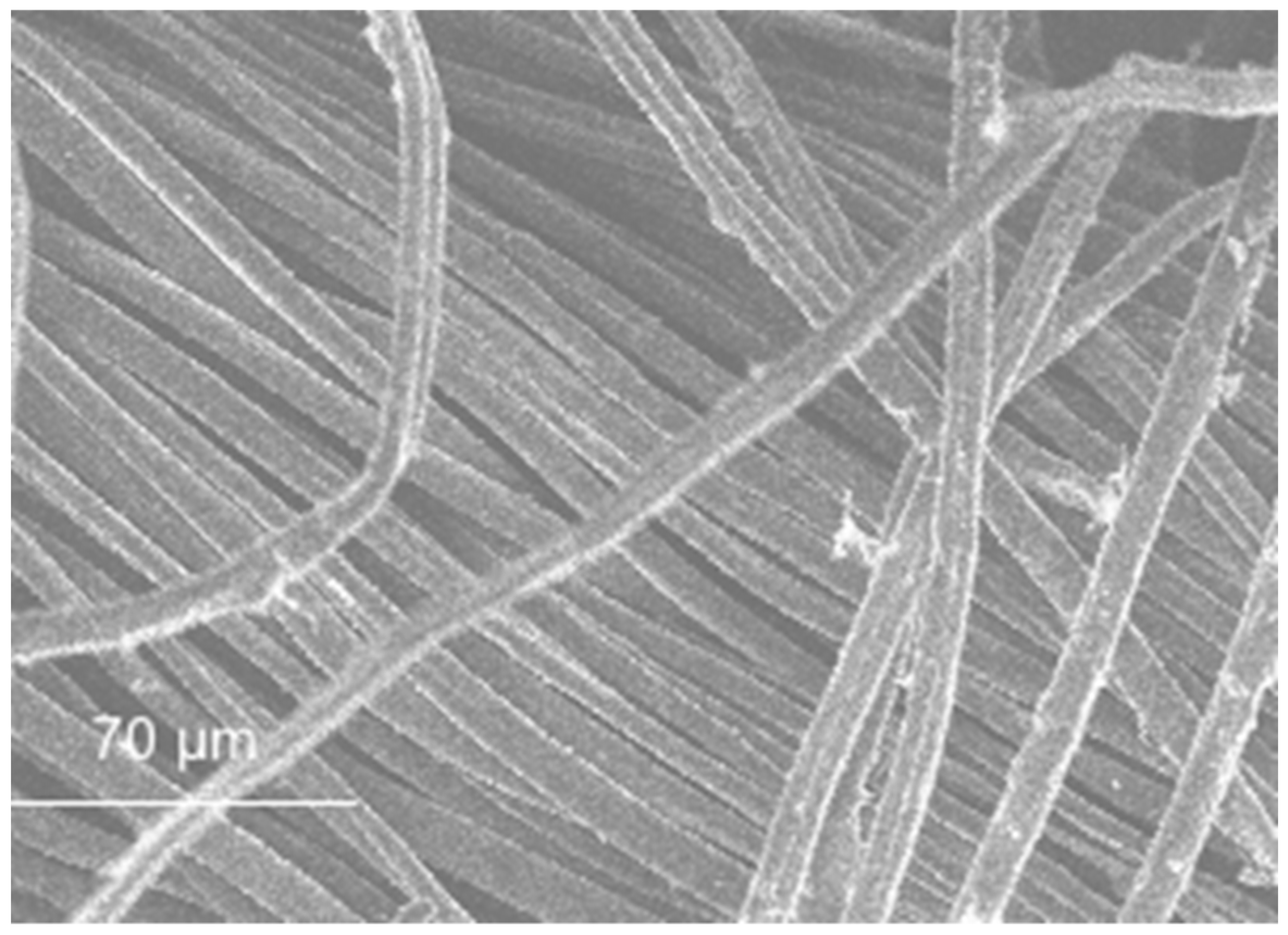 Materials 11 00453 g019 Materials 11 00453 g019