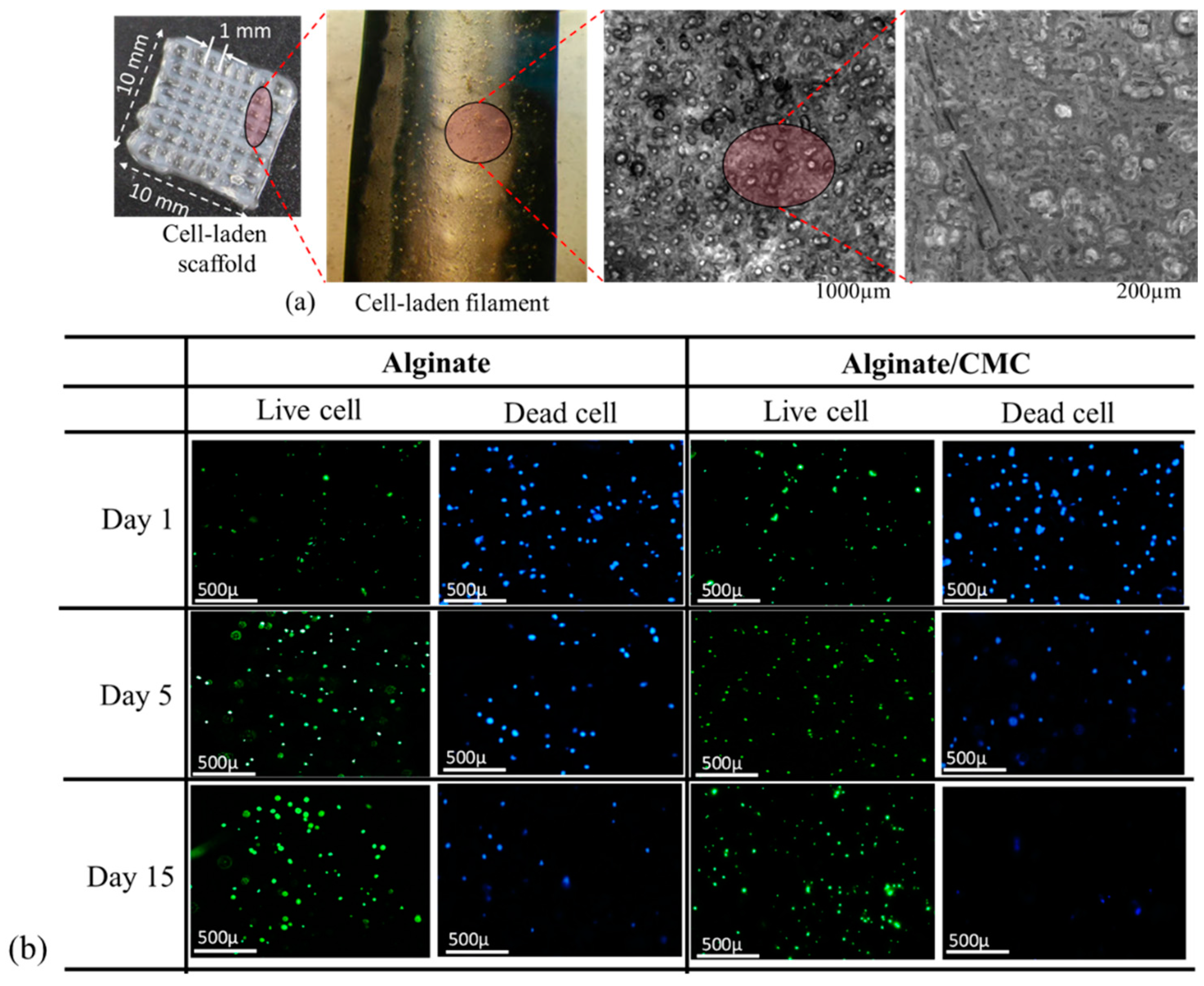 Materials 11 00454 g020