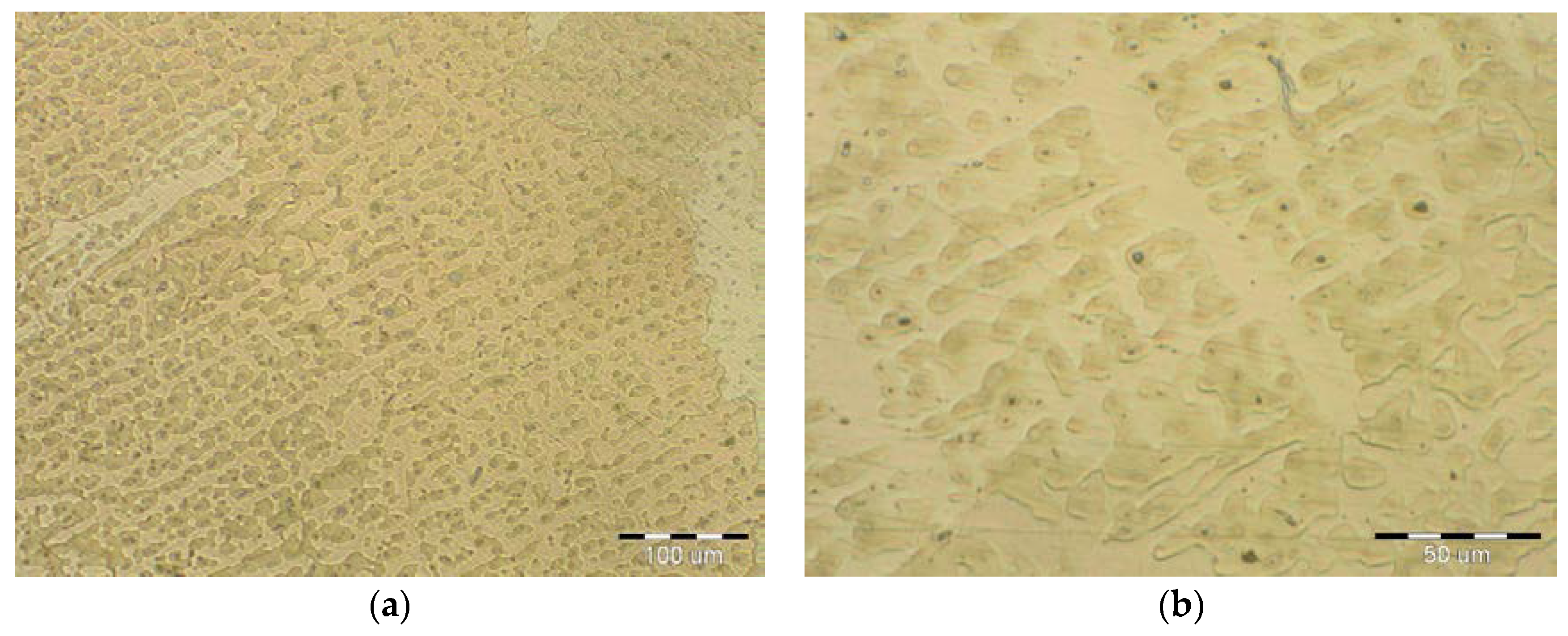 Materials 11 00459 g011