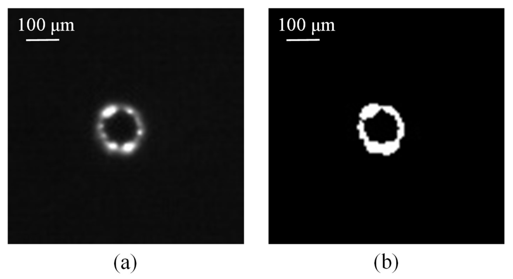 Materials 11 00470 g006
