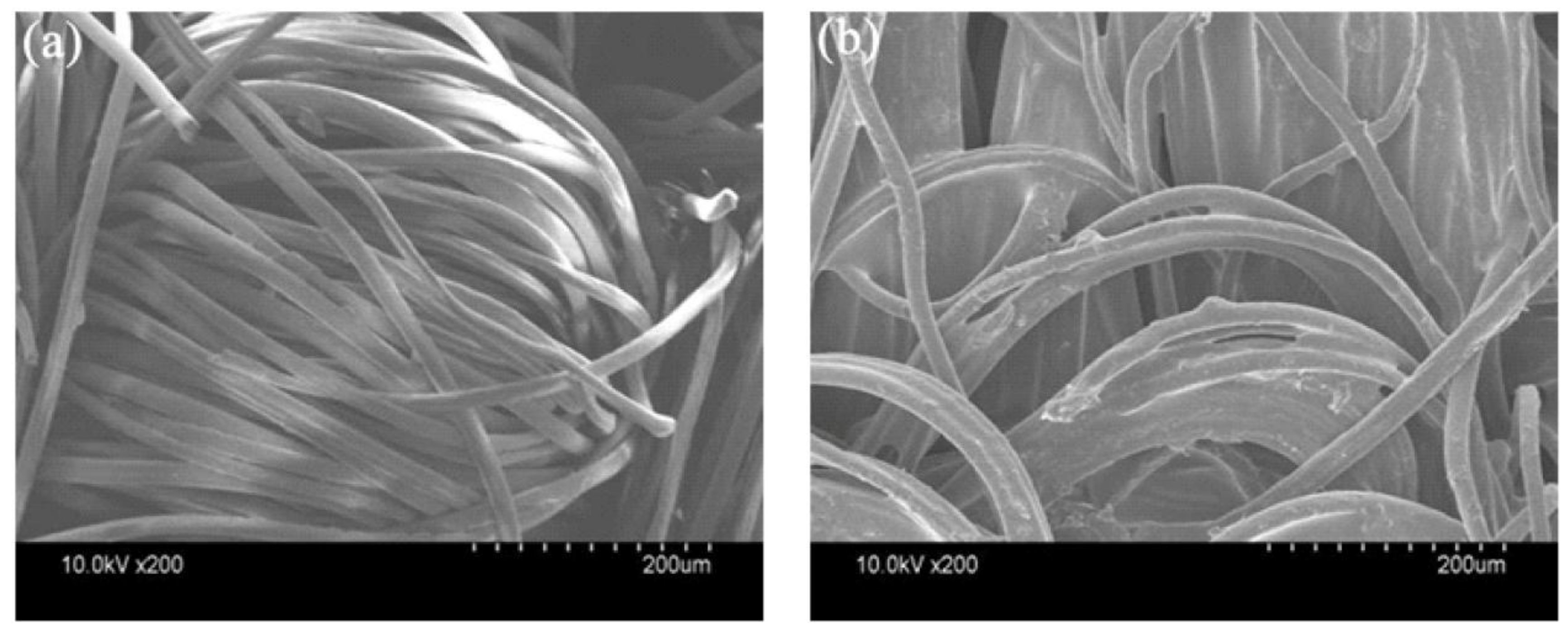 Materials 11 00483 g004