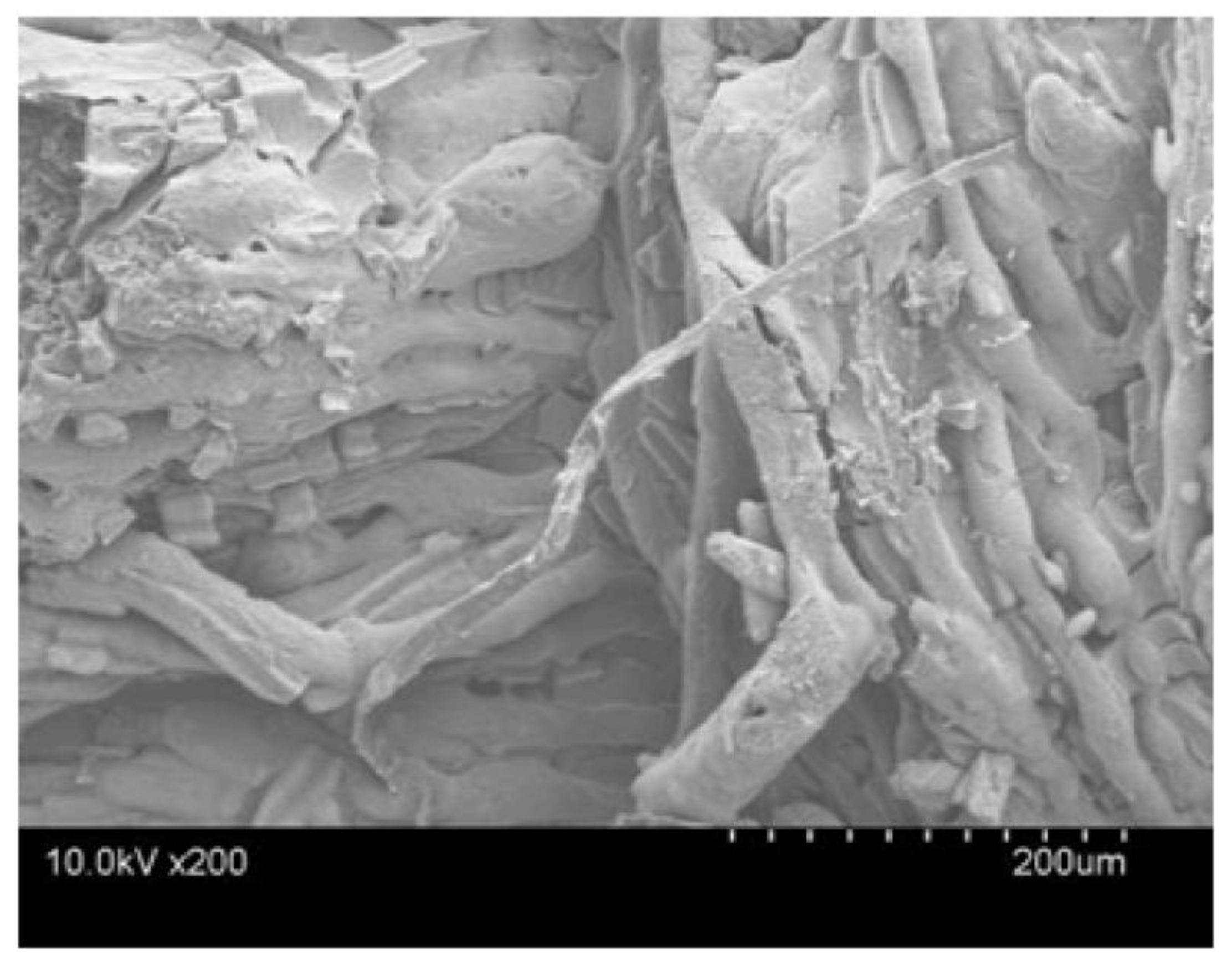 Materials 11 00483 g009