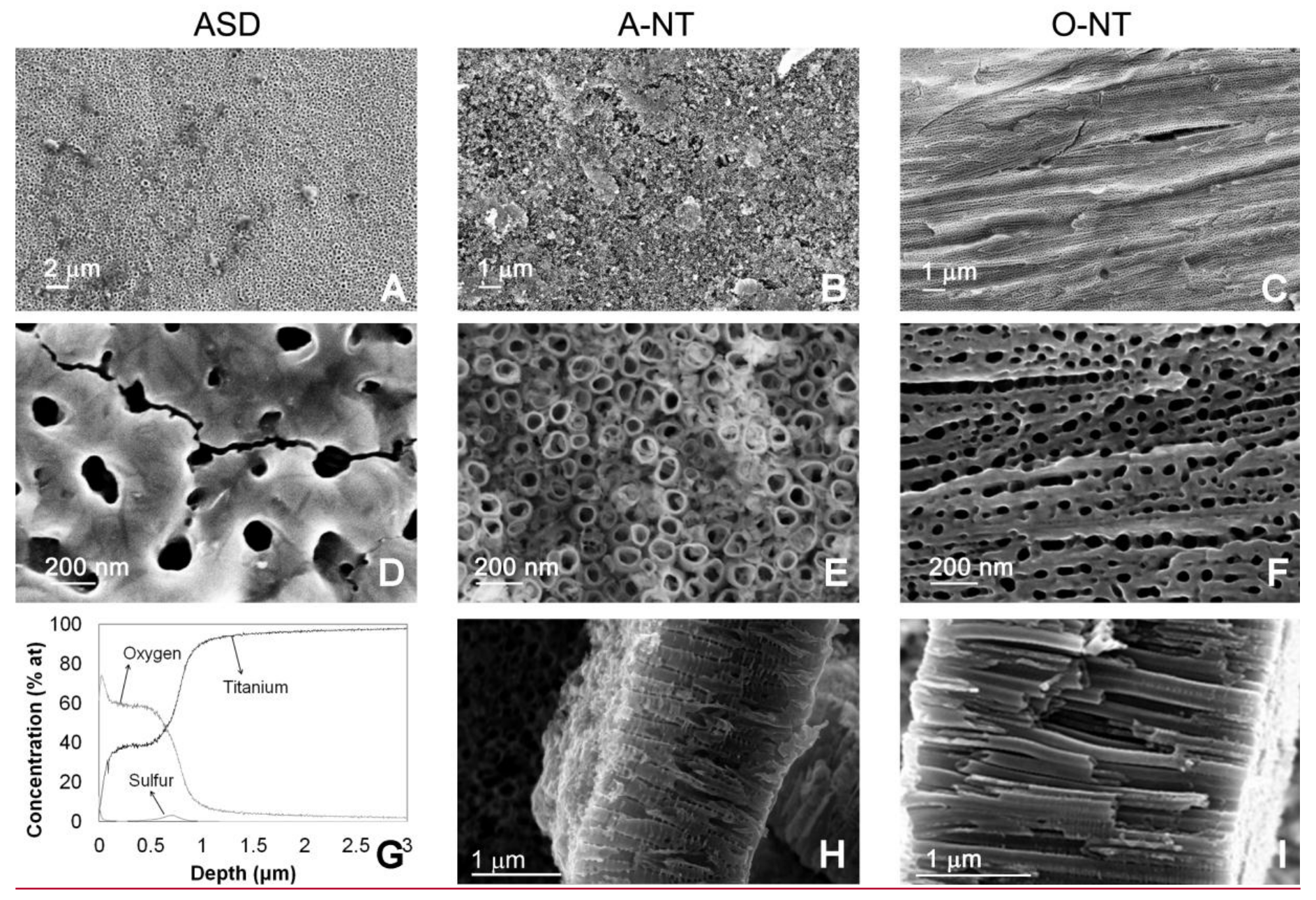 Materials 11 00488 g001 Materials 11 00488 g001