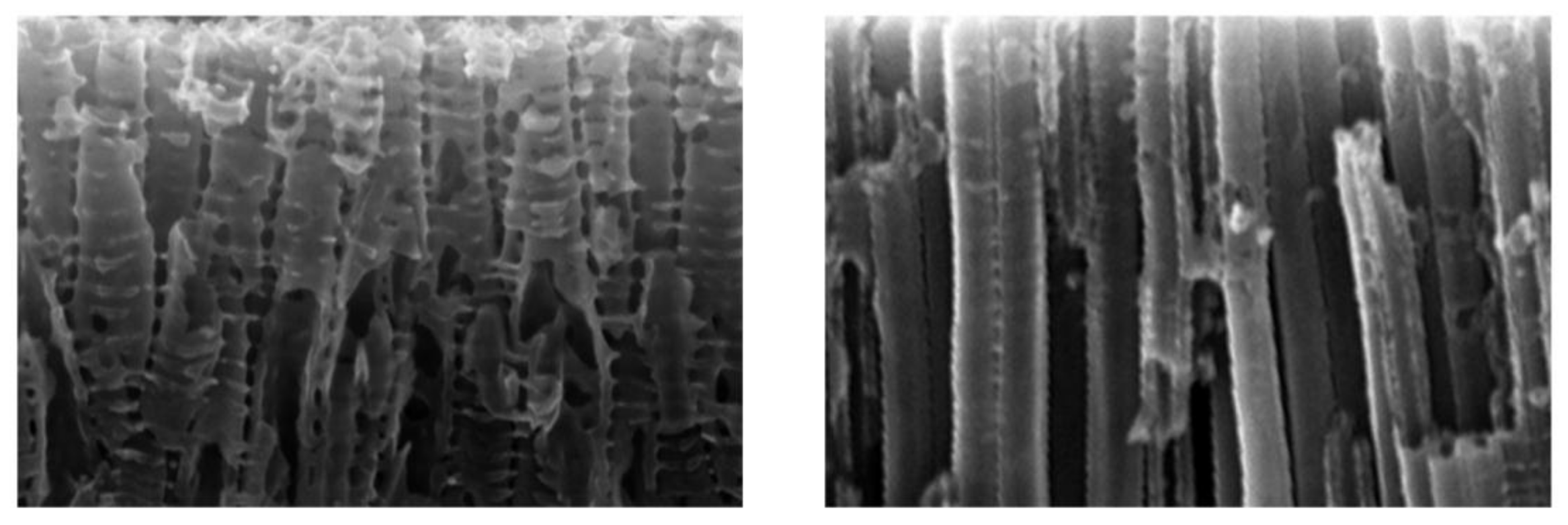 Materials 11 00488 g007 Materials 11 00488 g007