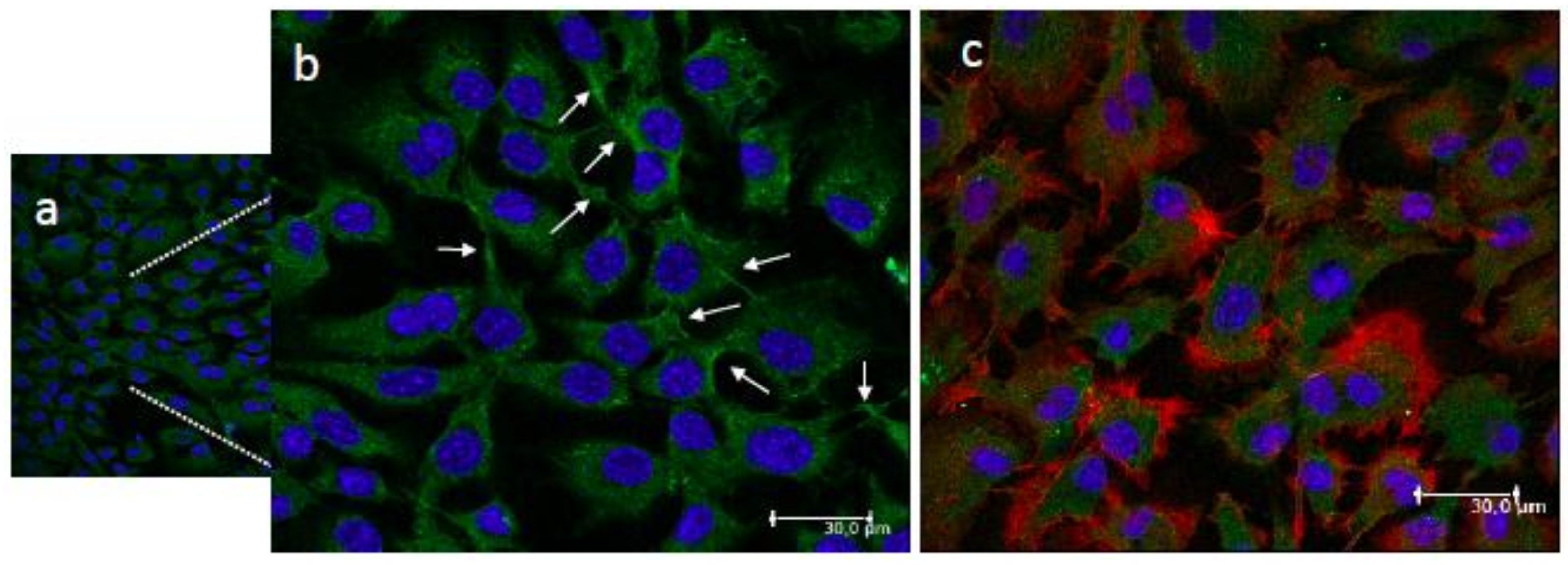 Materials 11 00490 g004