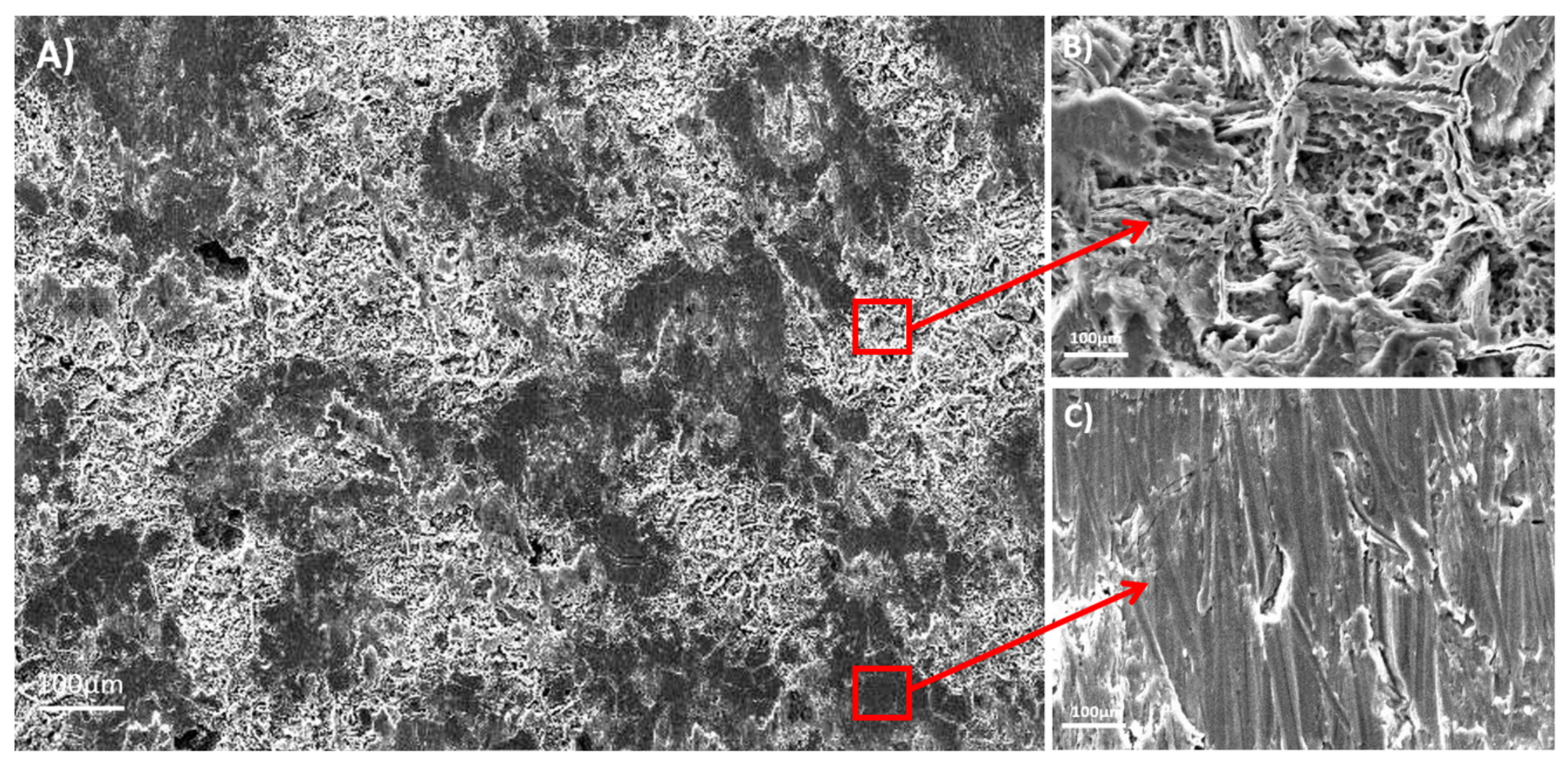 Materials 11 00494 g002 550