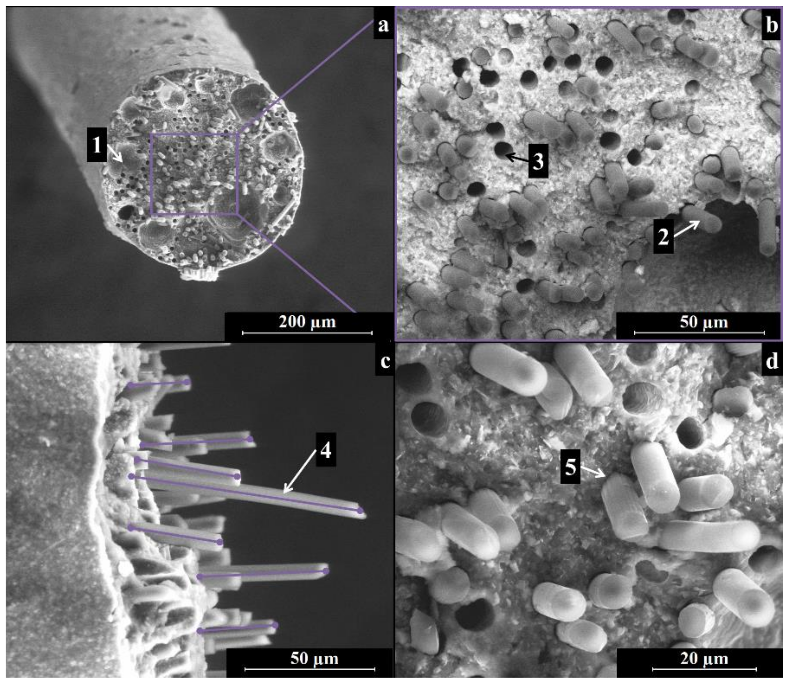 Materials 11 00515 g005