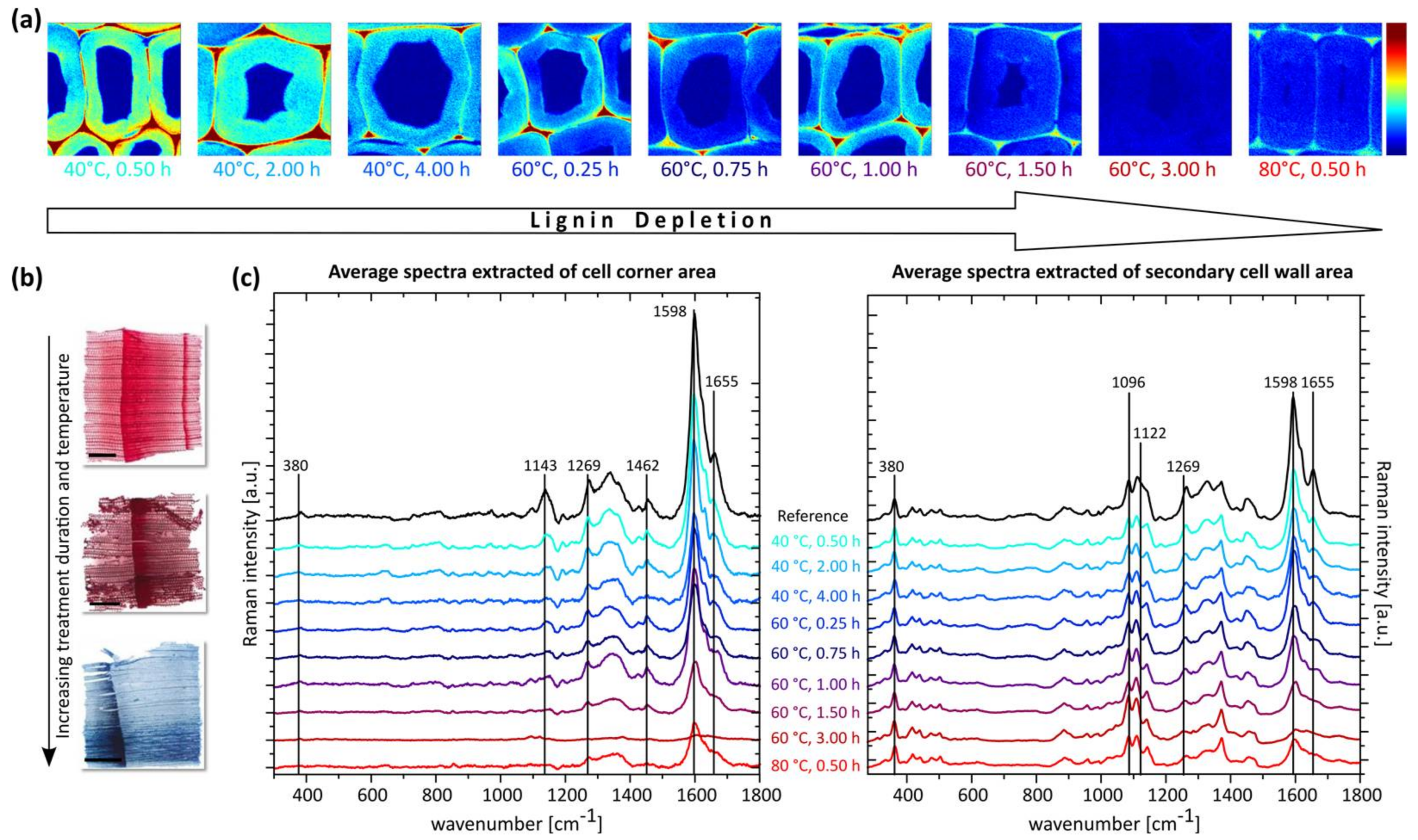Materials 11 00517 g002
