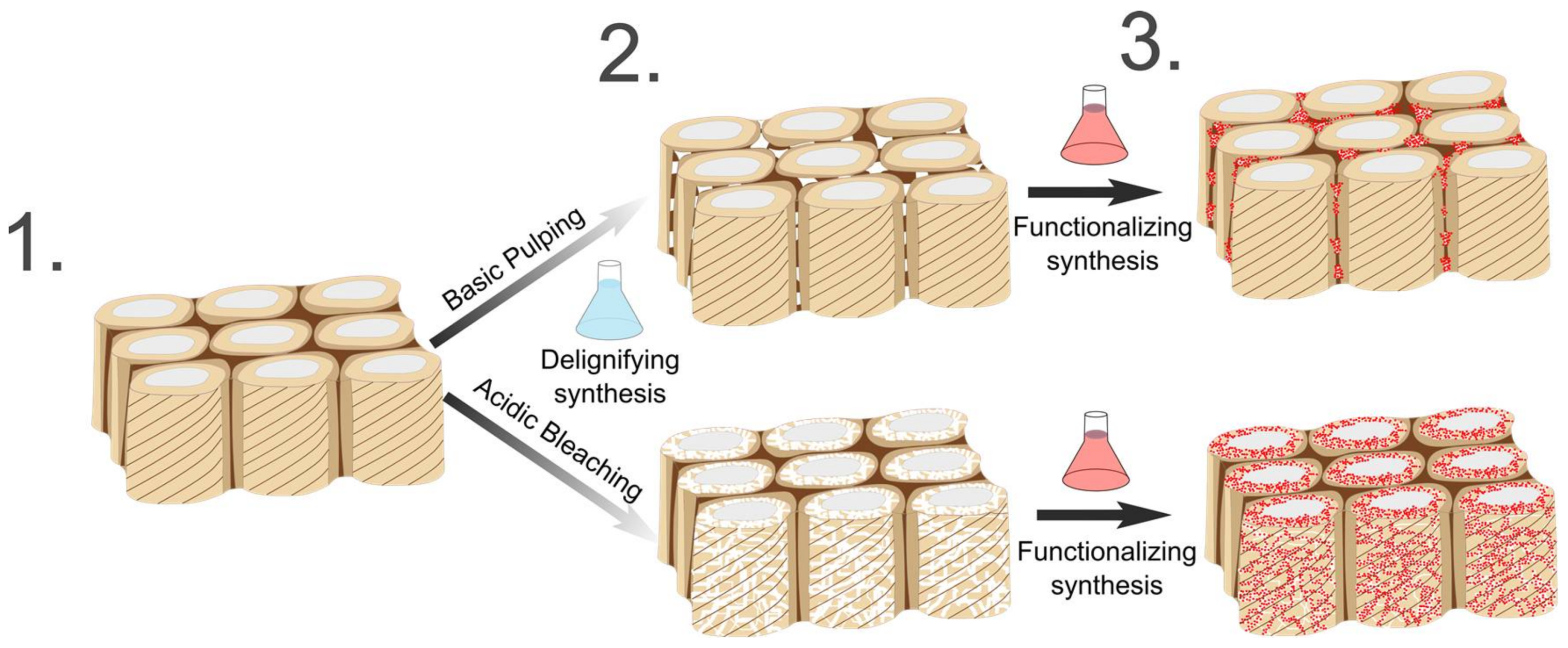Materials 11 00517 g005