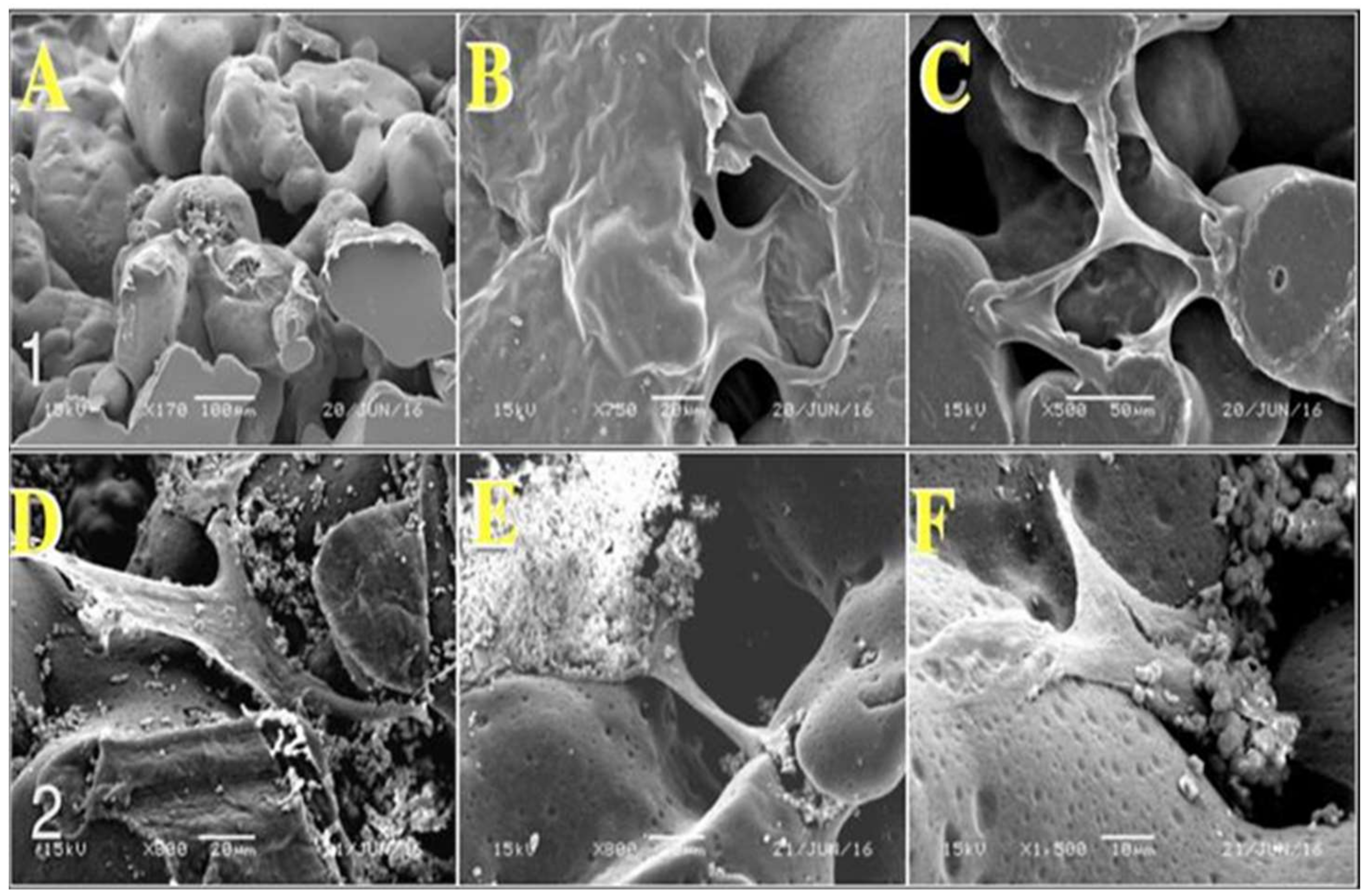 Materials 11 00521 g009 Materials 11 00521 g009