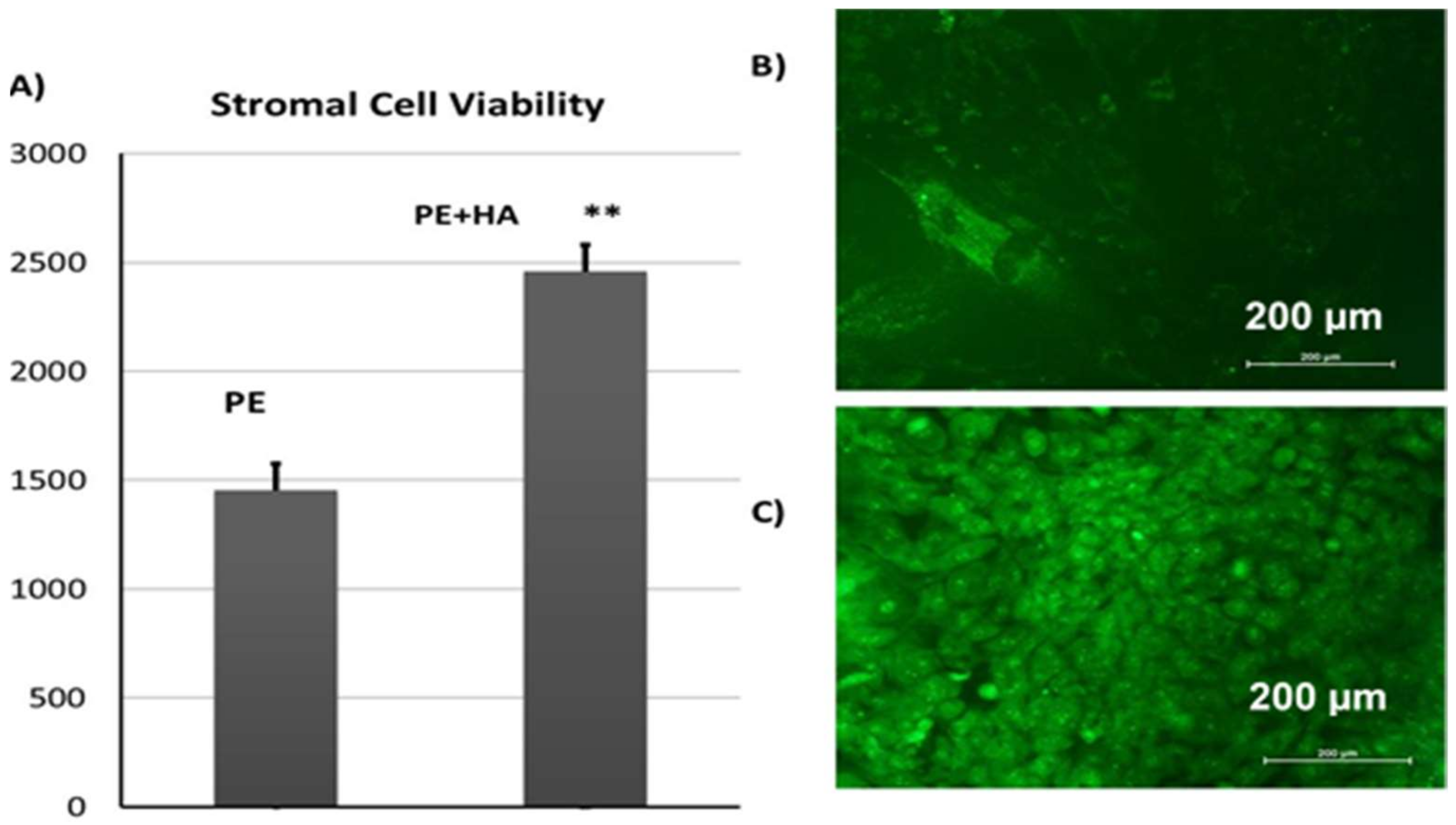Materials 11 00521 g010 Materials 11 00521 g010