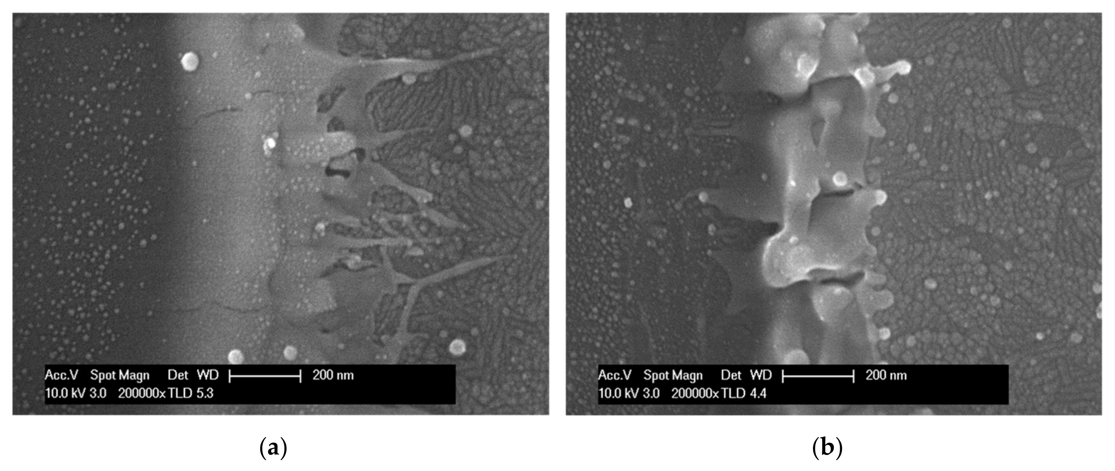 Materials 11 00530 g003