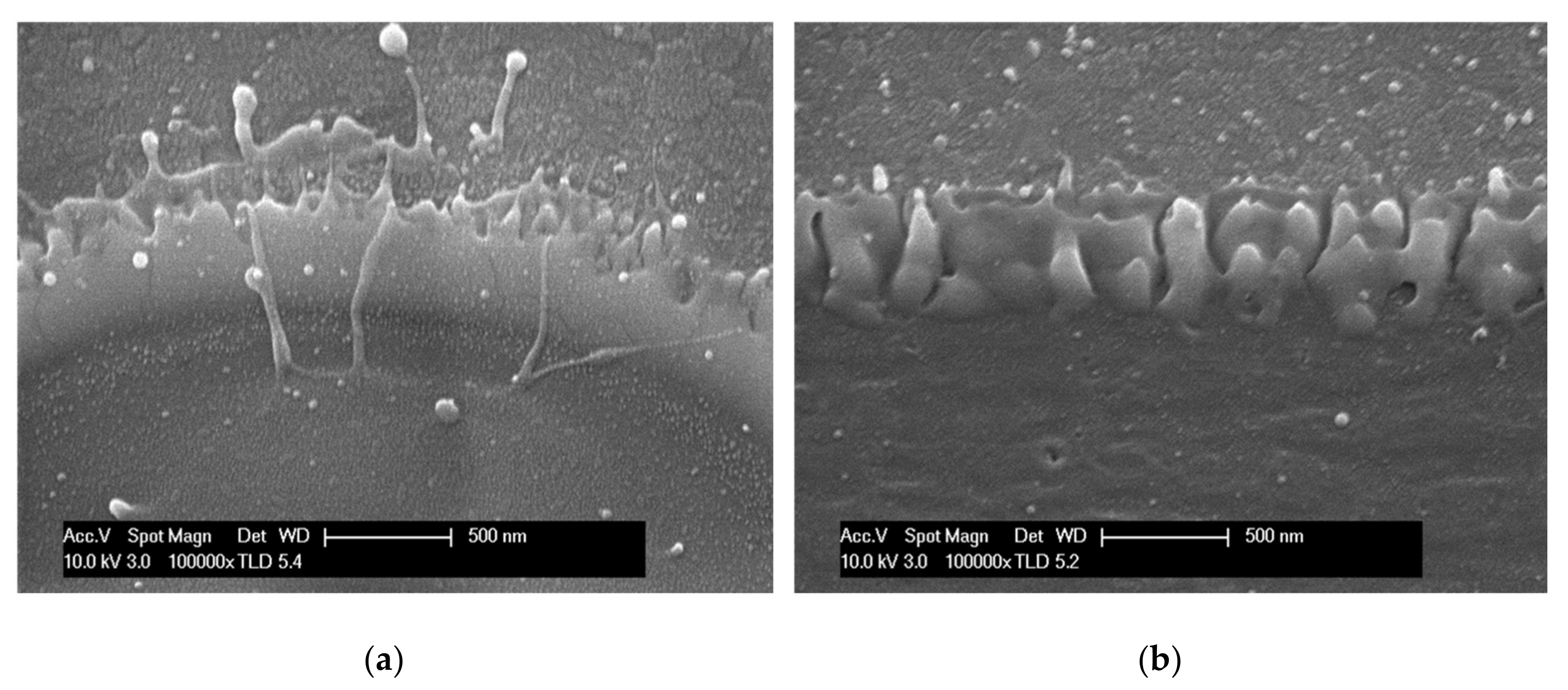 Materials 11 00530 g004