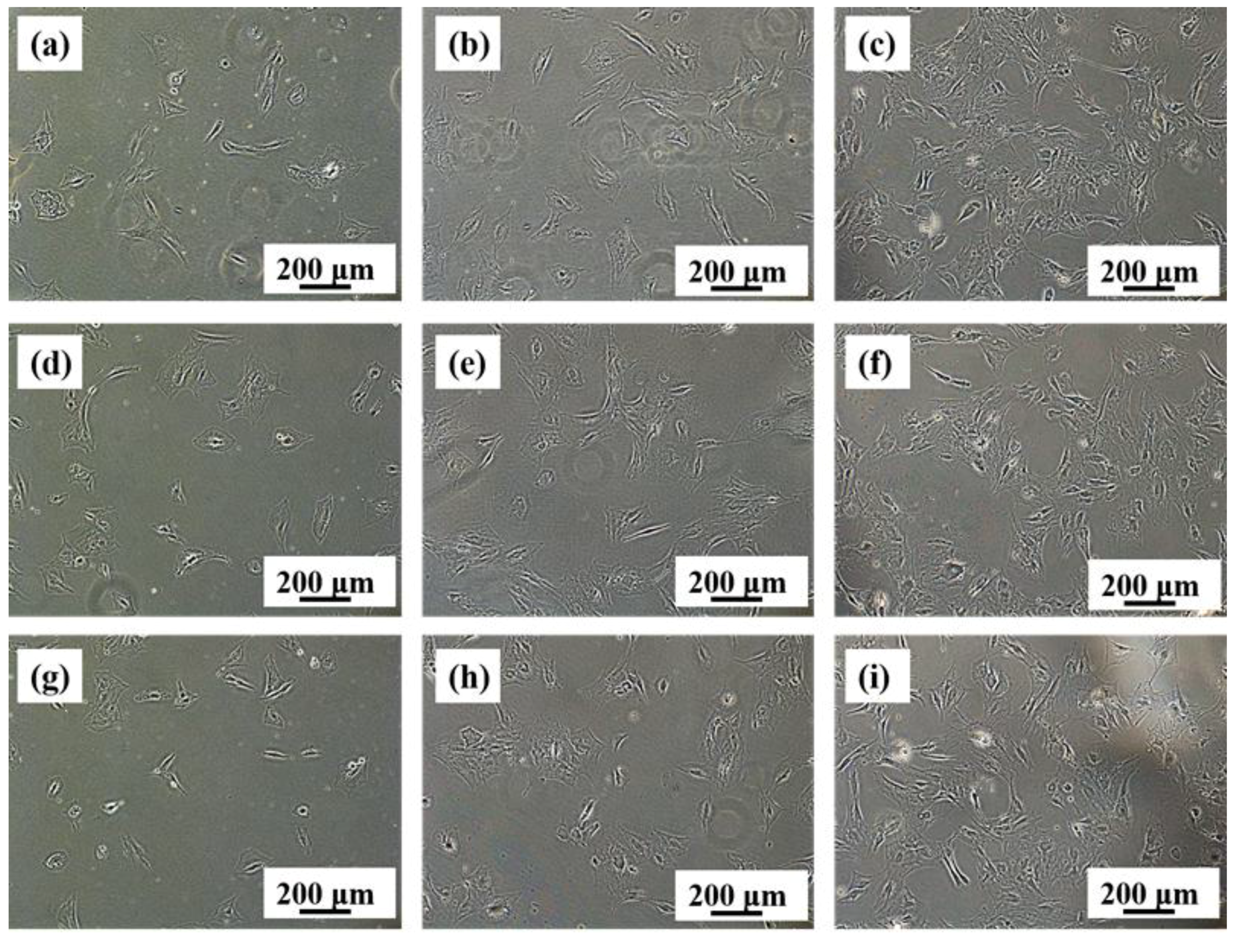 Materials 11 00531 g010