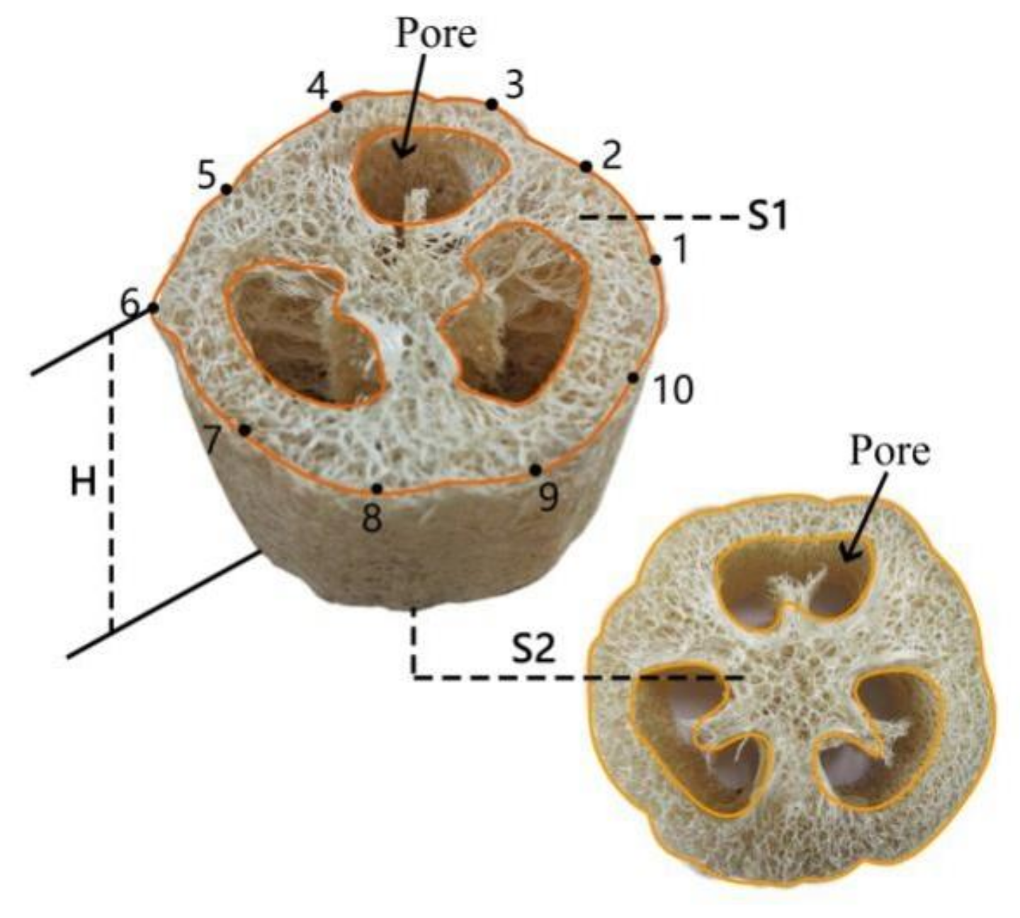 Materials 11 00541 g002