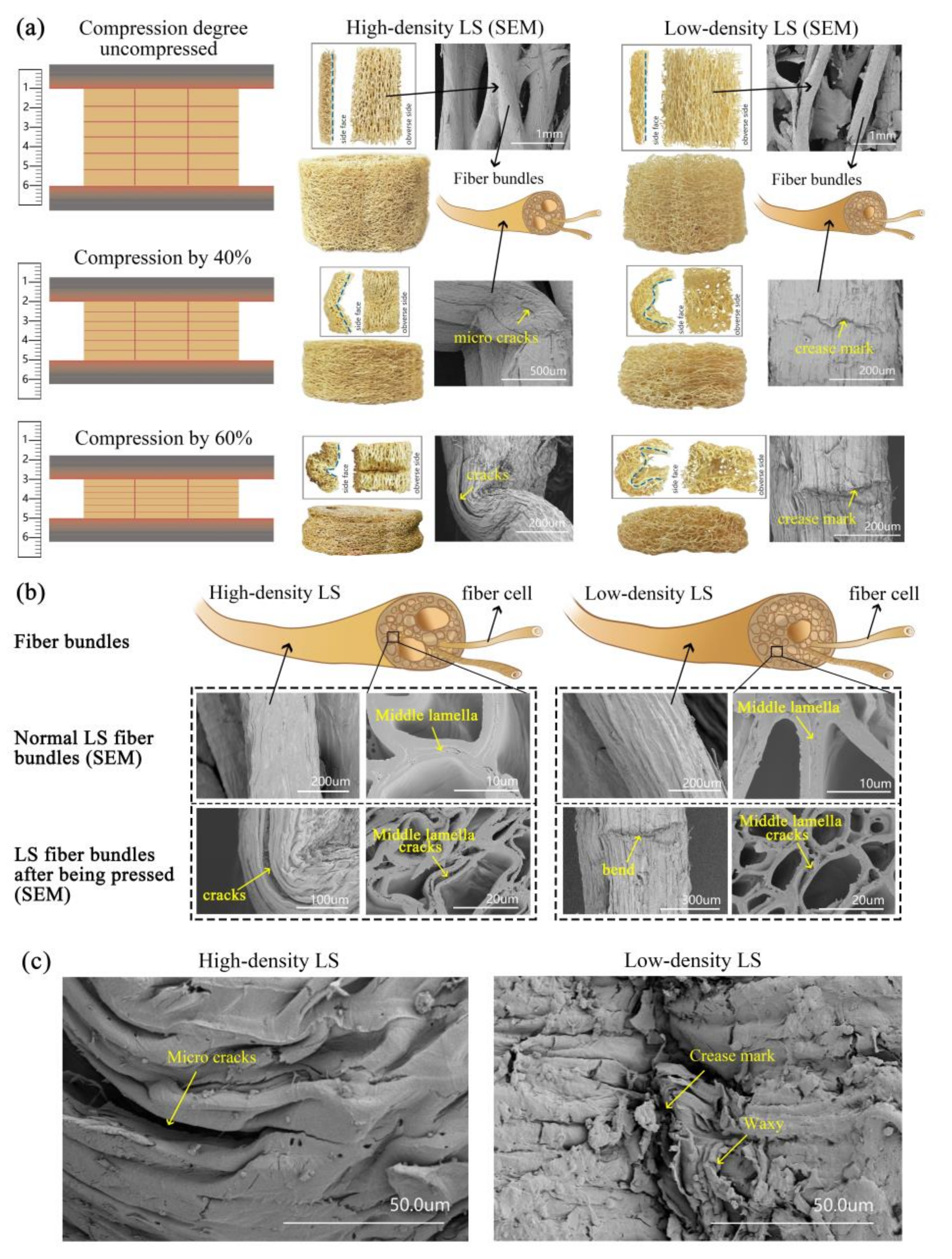 Materials 11 00541 g005