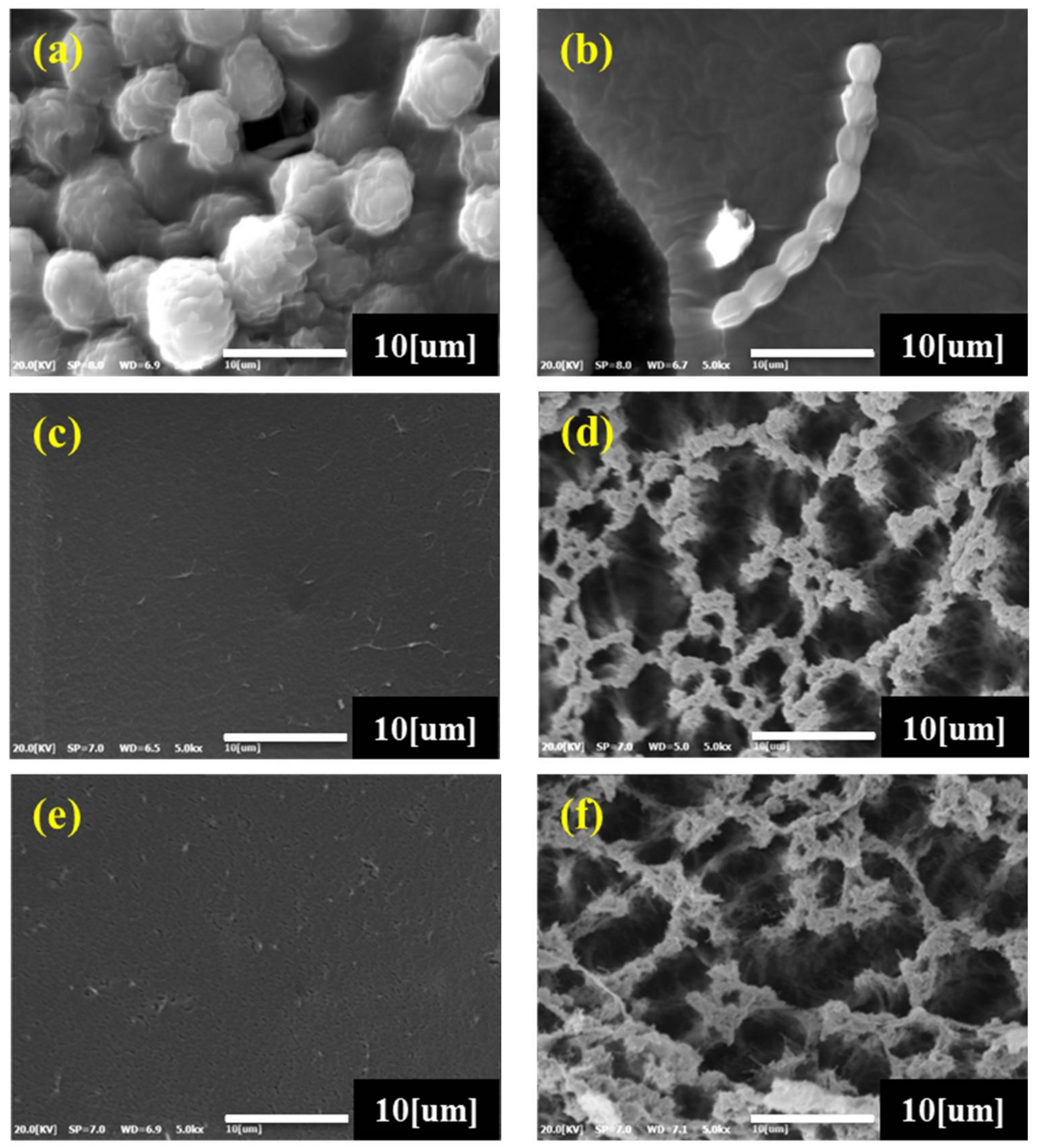 Materials 11 00562 g003a Materials 11 00562 g003a
