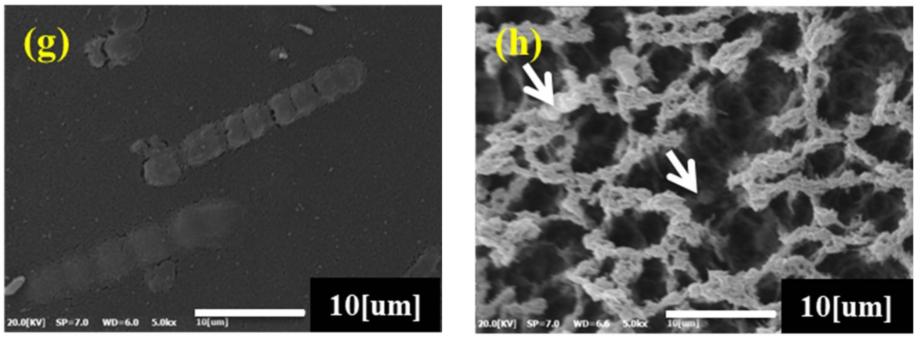 Materials 11 00562 g003b Materials 11 00562 g003b