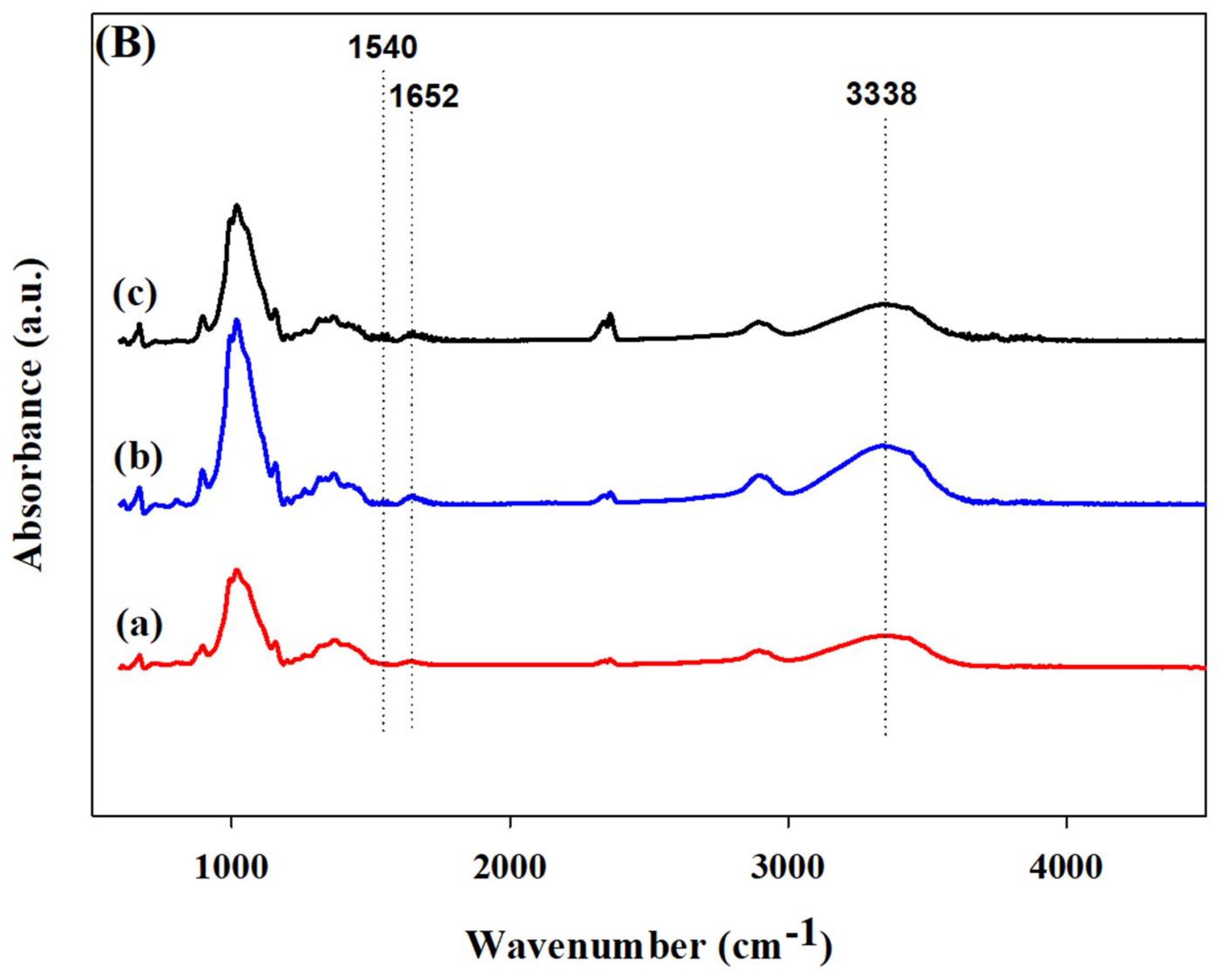 Materials 11 00562 g005b Materials 11 00562 g005b