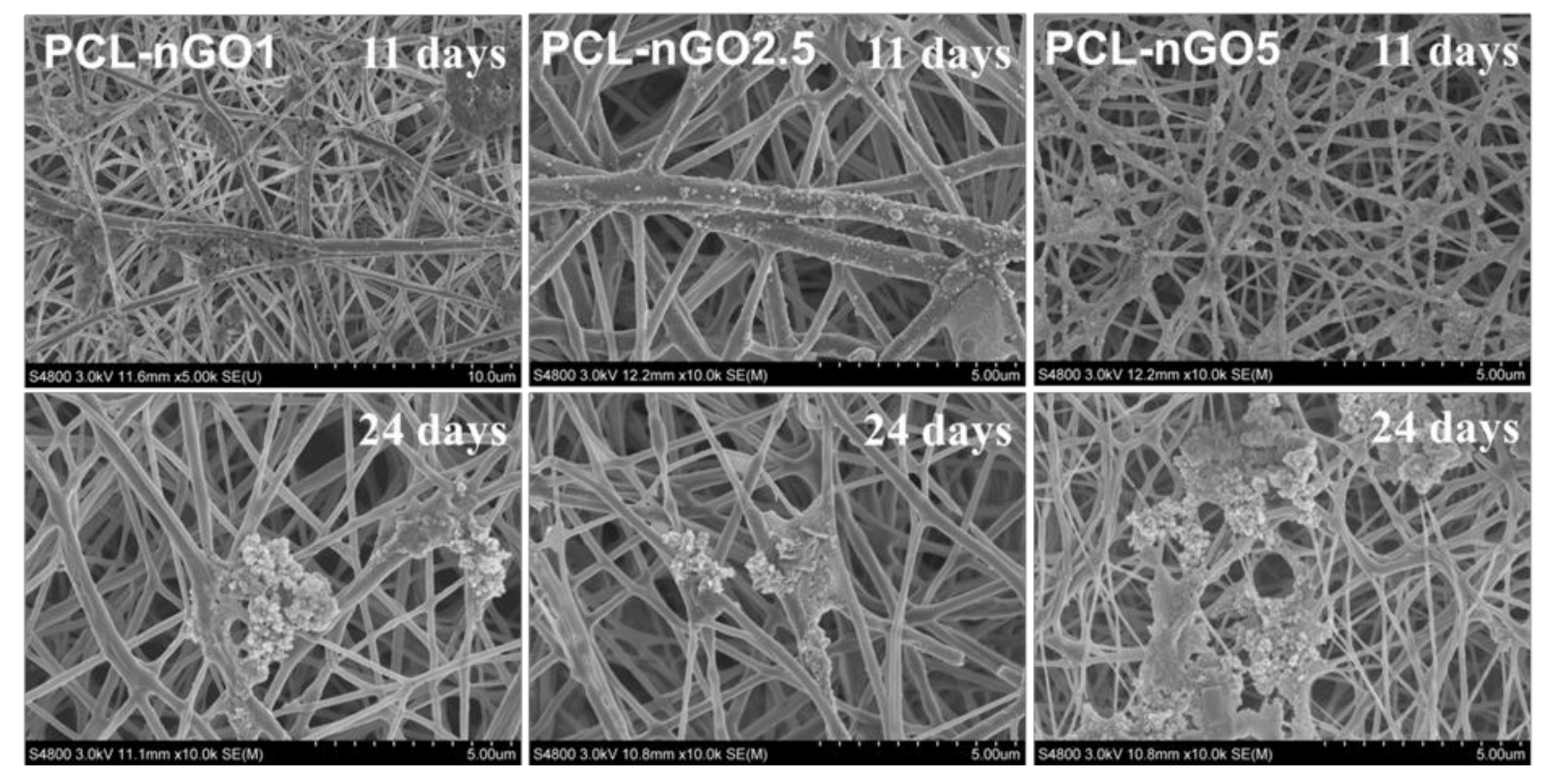 Materials 11 00566 g010