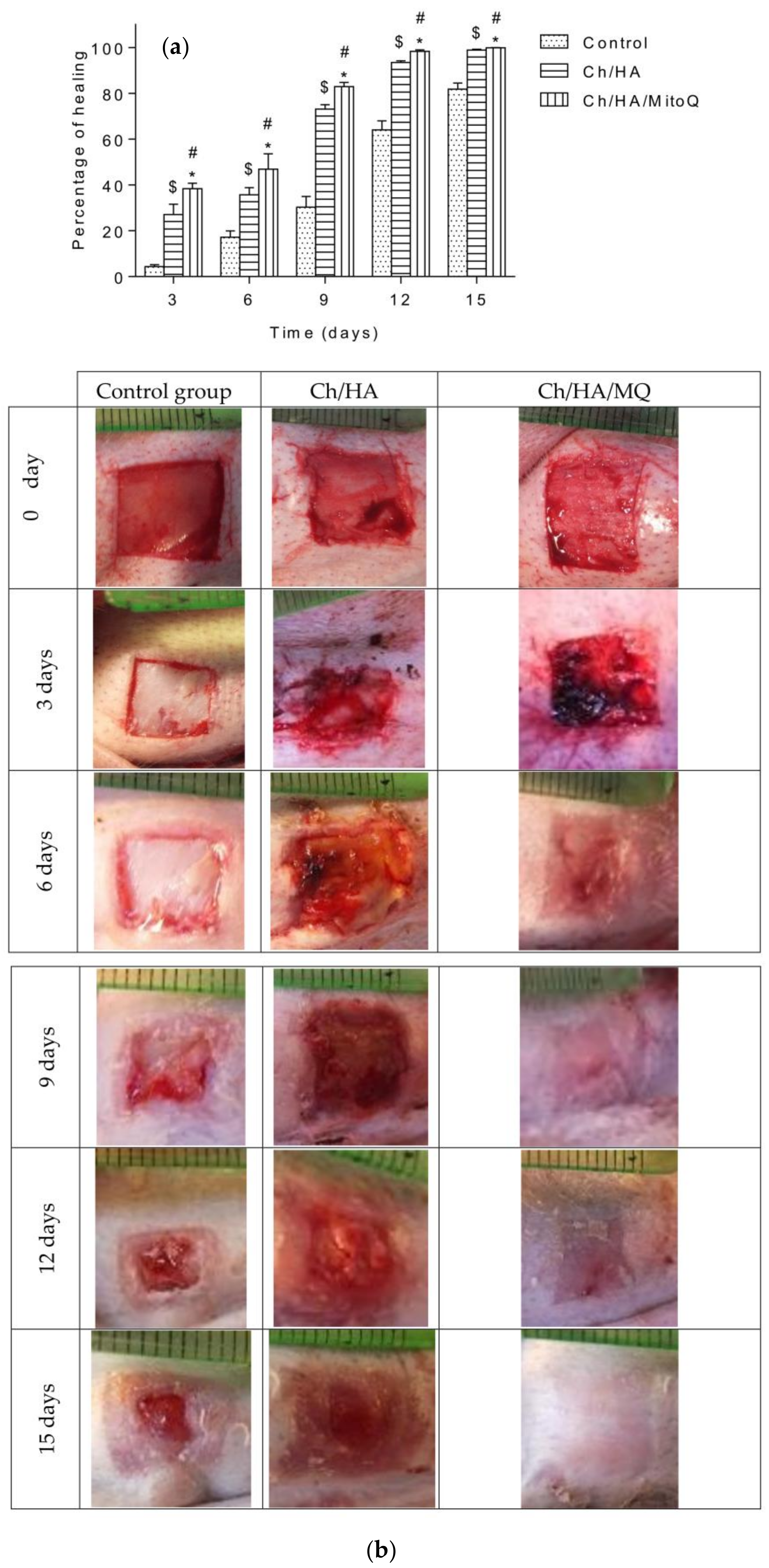 Materials 11 00569 g003