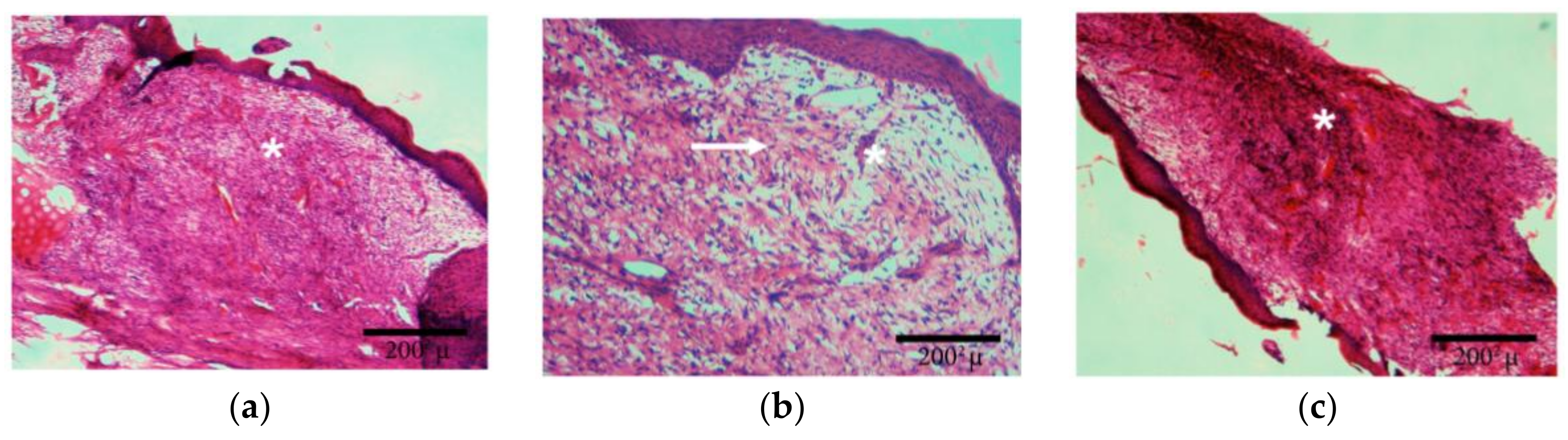 Materials 11 00569 g004