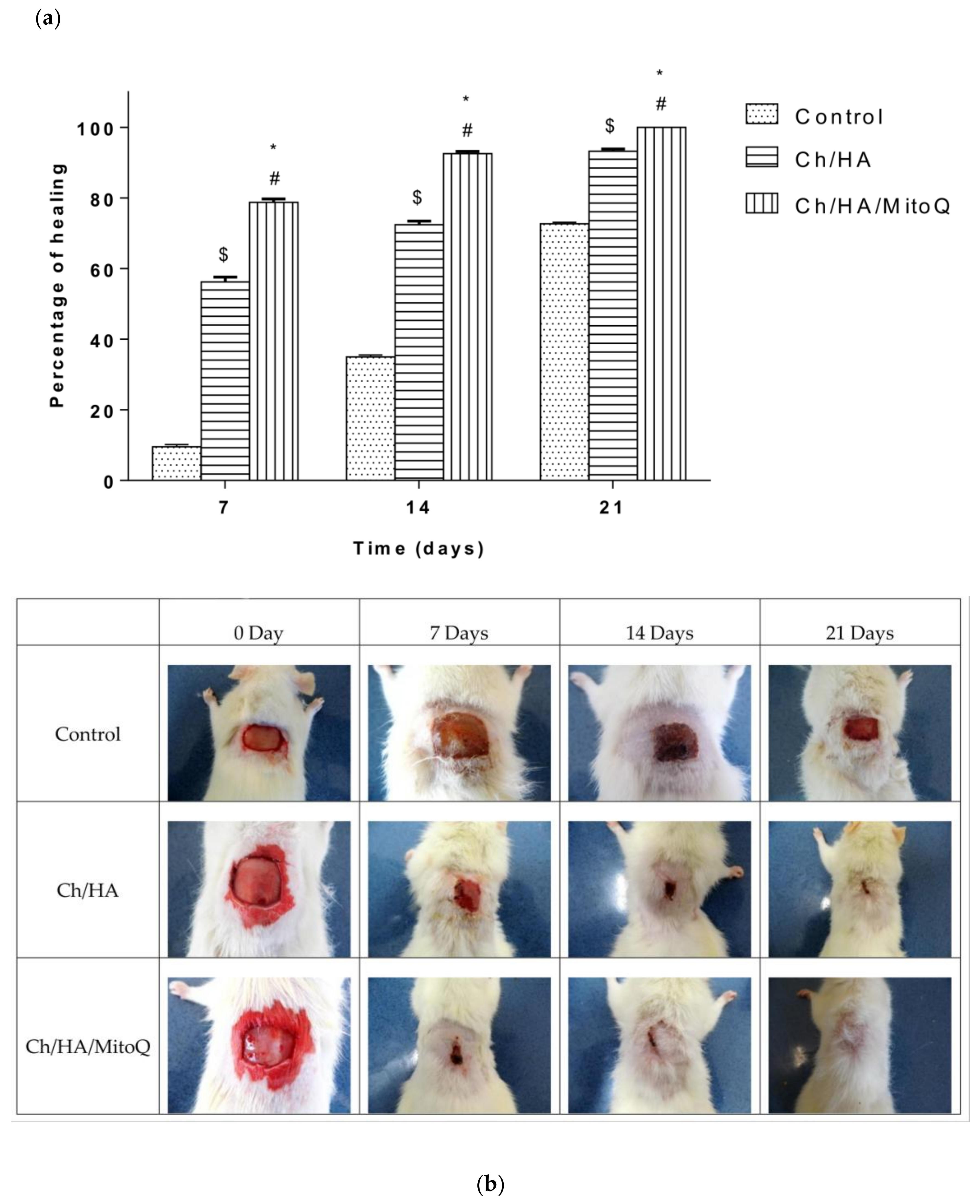 Materials 11 00569 g005