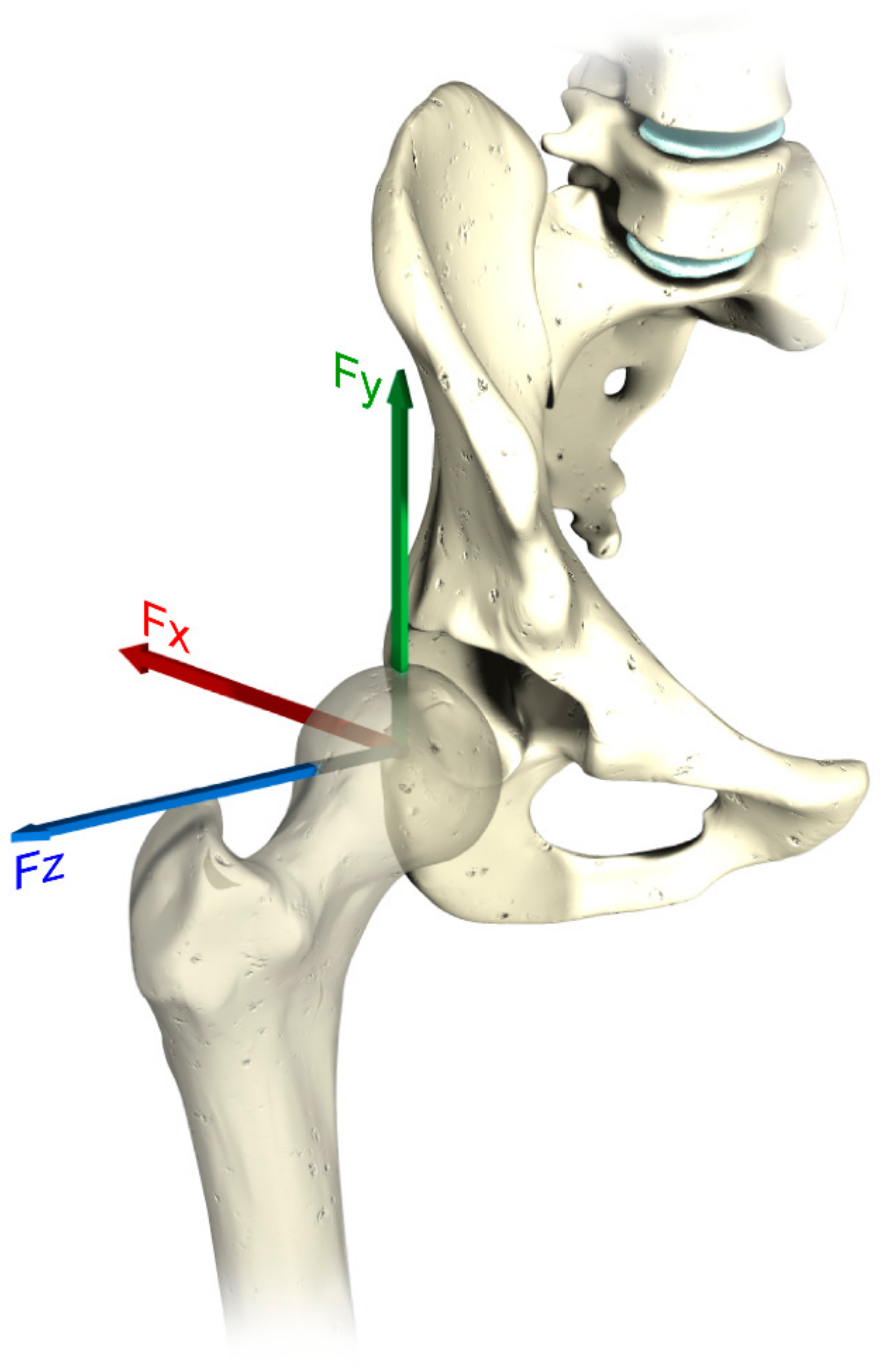 Materials 11 00574 g003 550