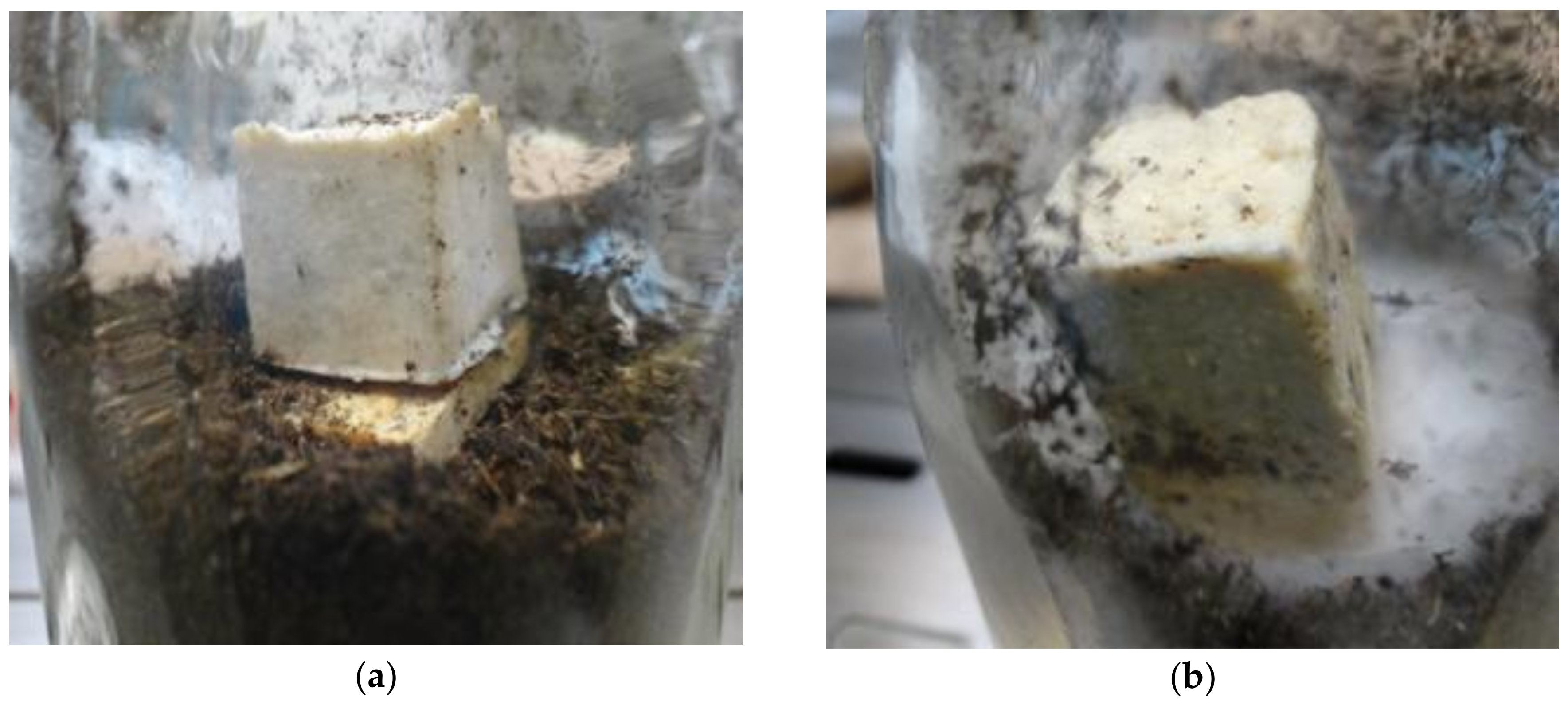 Materials 11 00575 g007