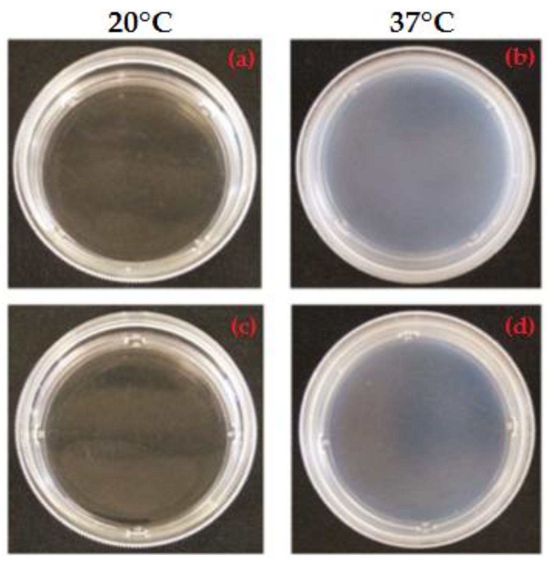 Materials 11 00579 g002