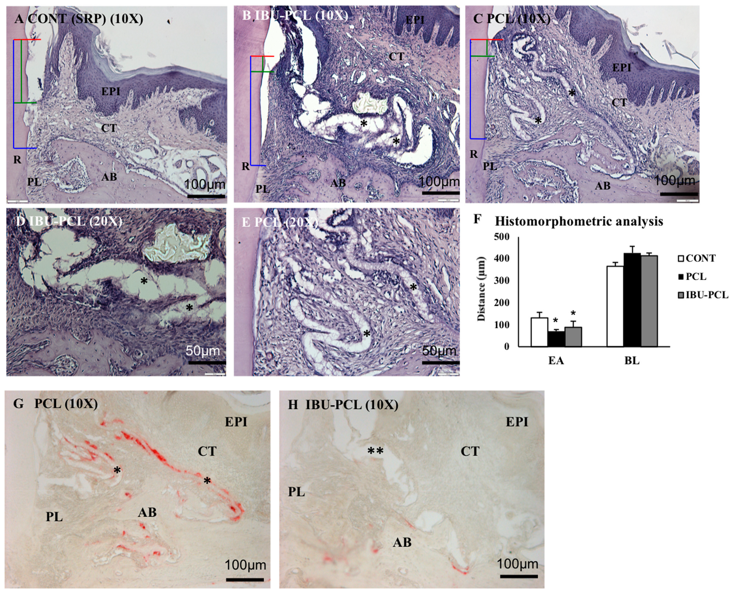 Materials 11 00580 g006