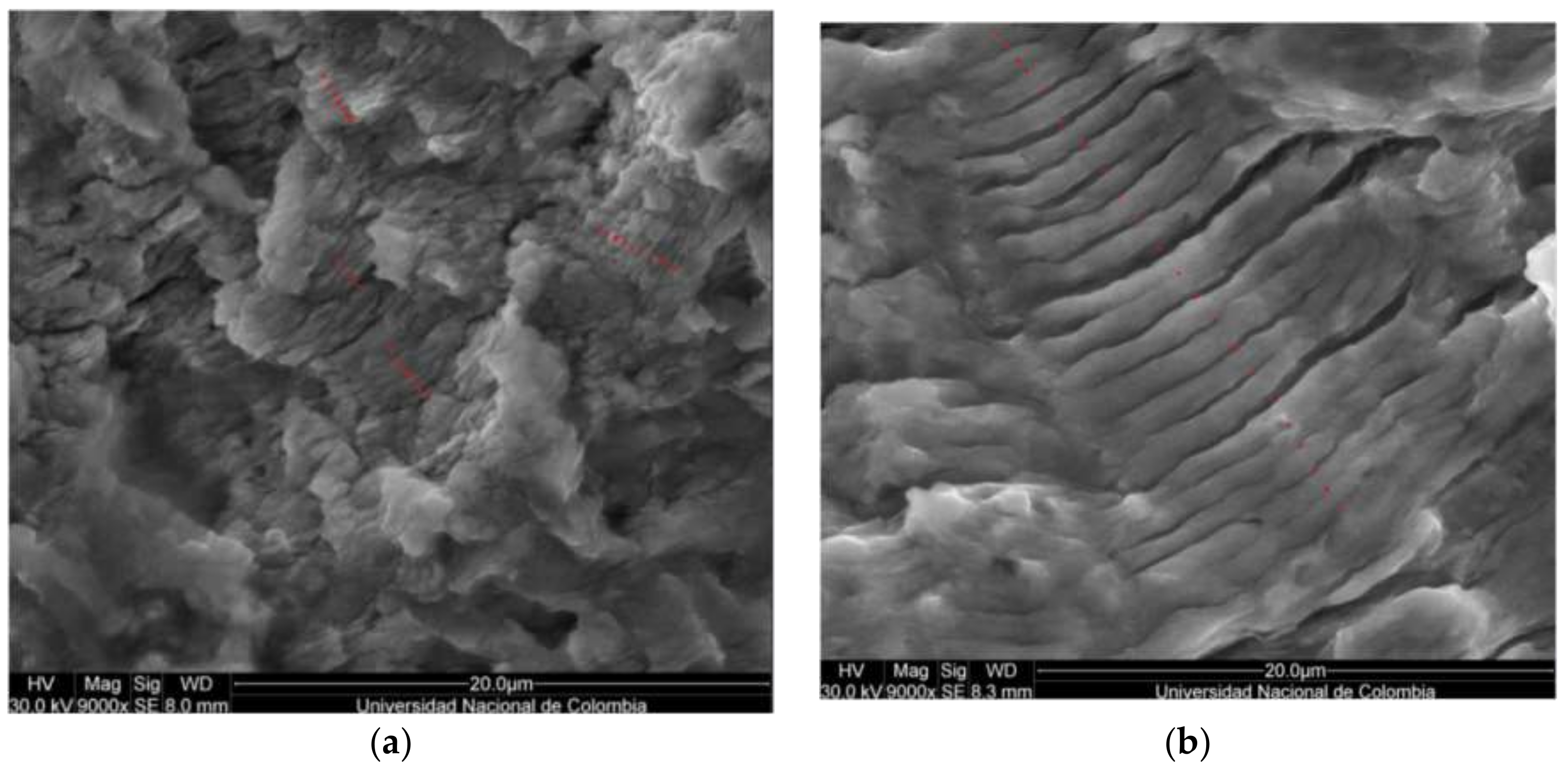 Materials 11 00594 g015