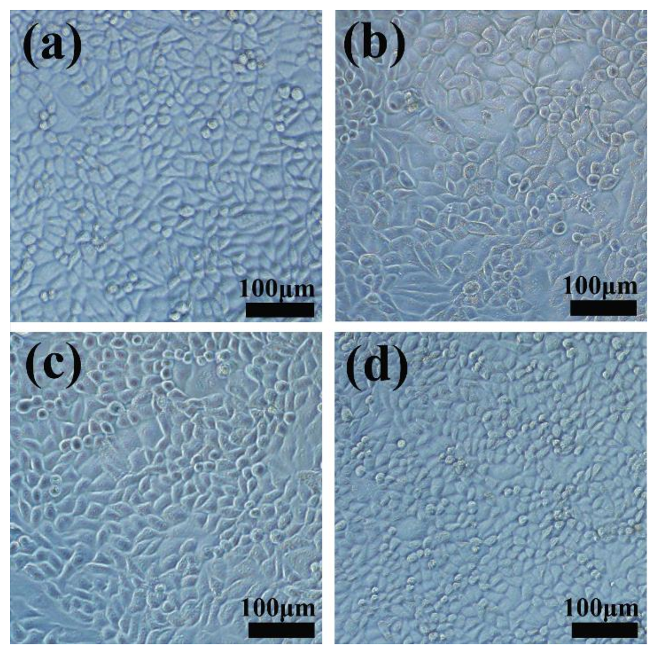 Materials 11 00596 g009