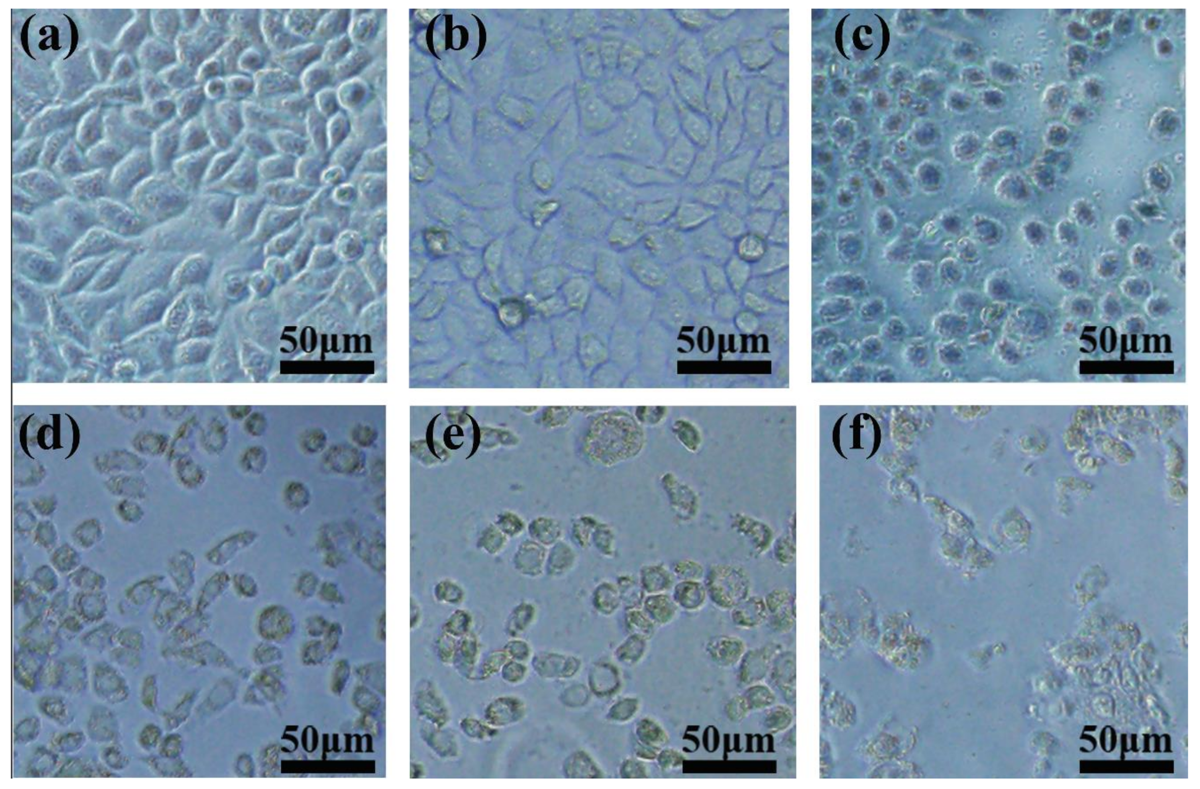 Materials 11 00596 g012